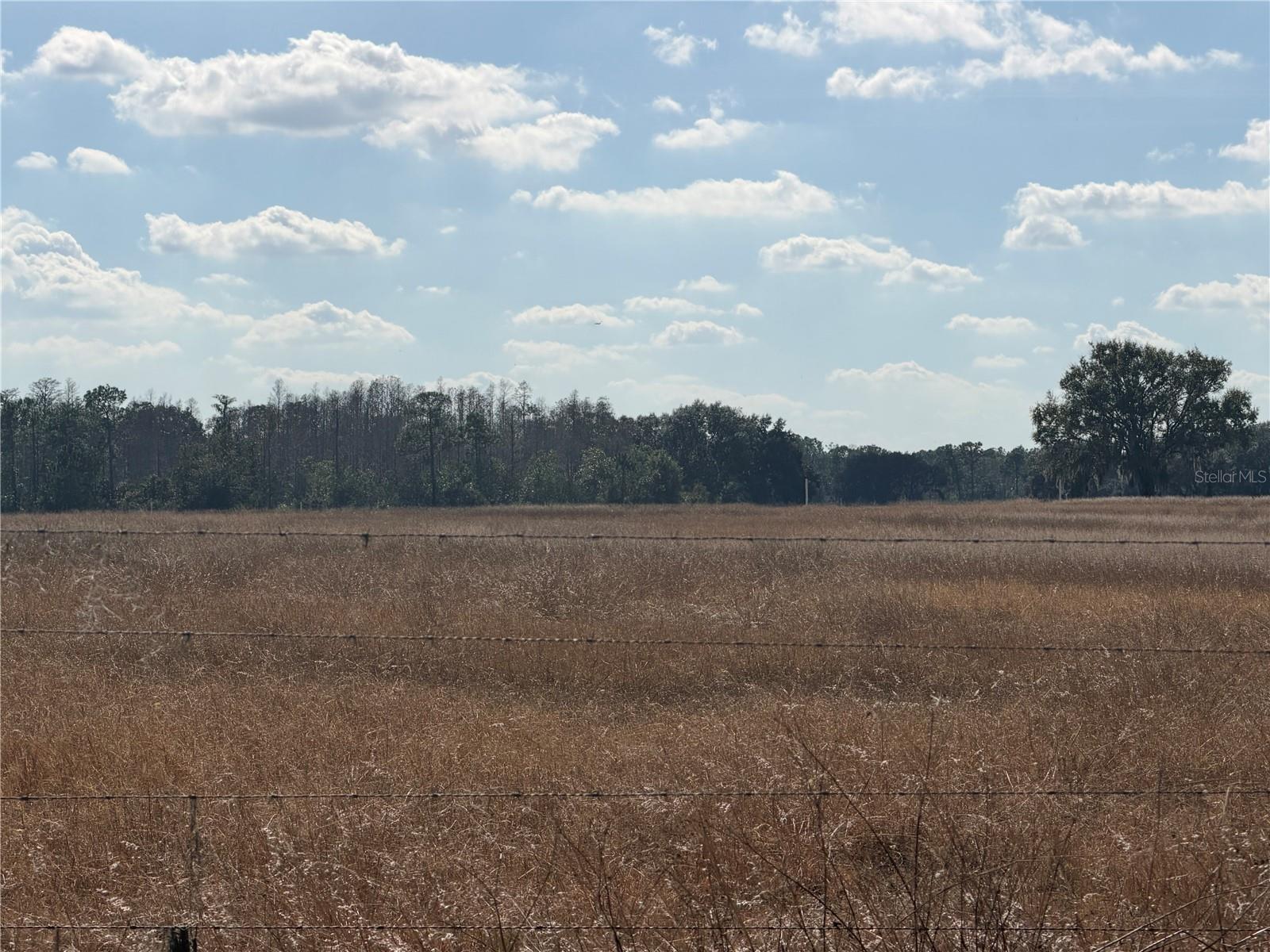 GROVELAND FARMS 20-23-25 - Land