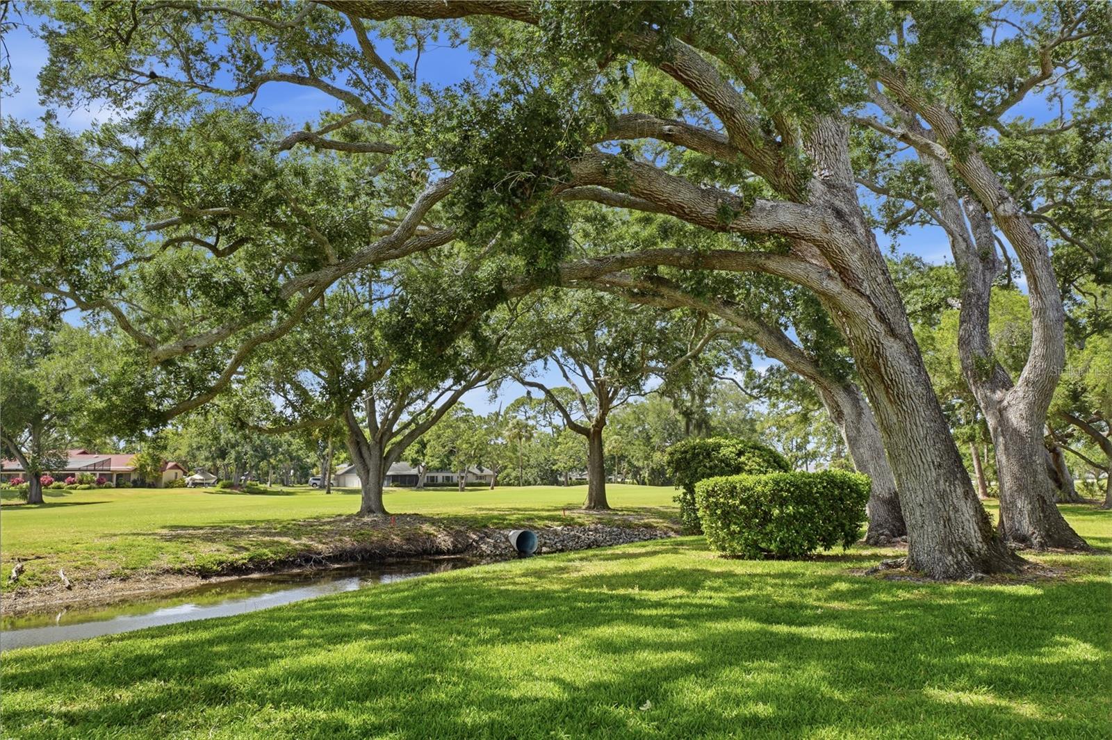 PALM-AIRE AT SARASOTA 8-B - Residential
