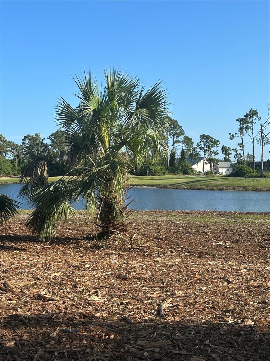 ROTONDA WEST PINE VALLEY - Land