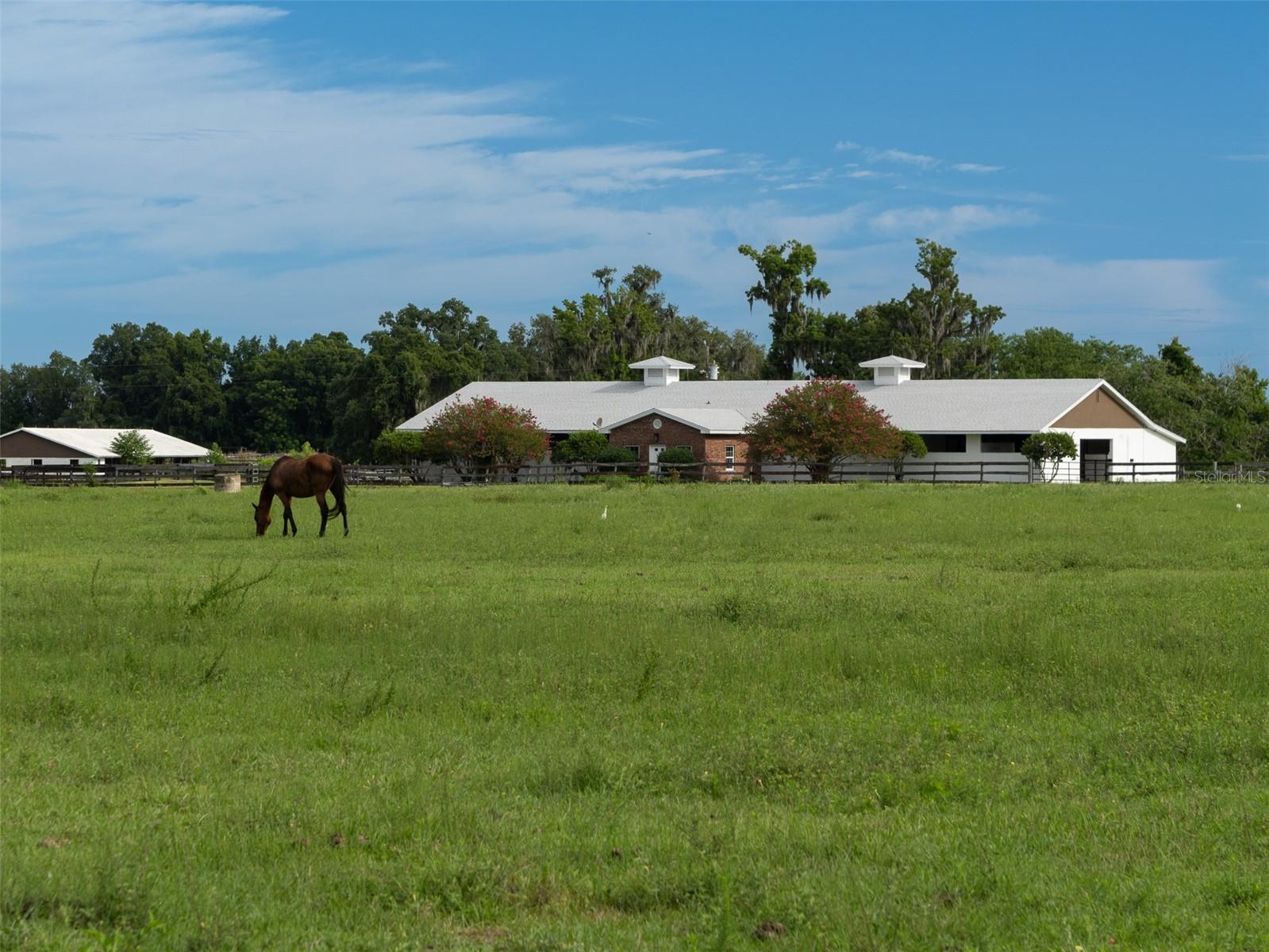 NA - Farm