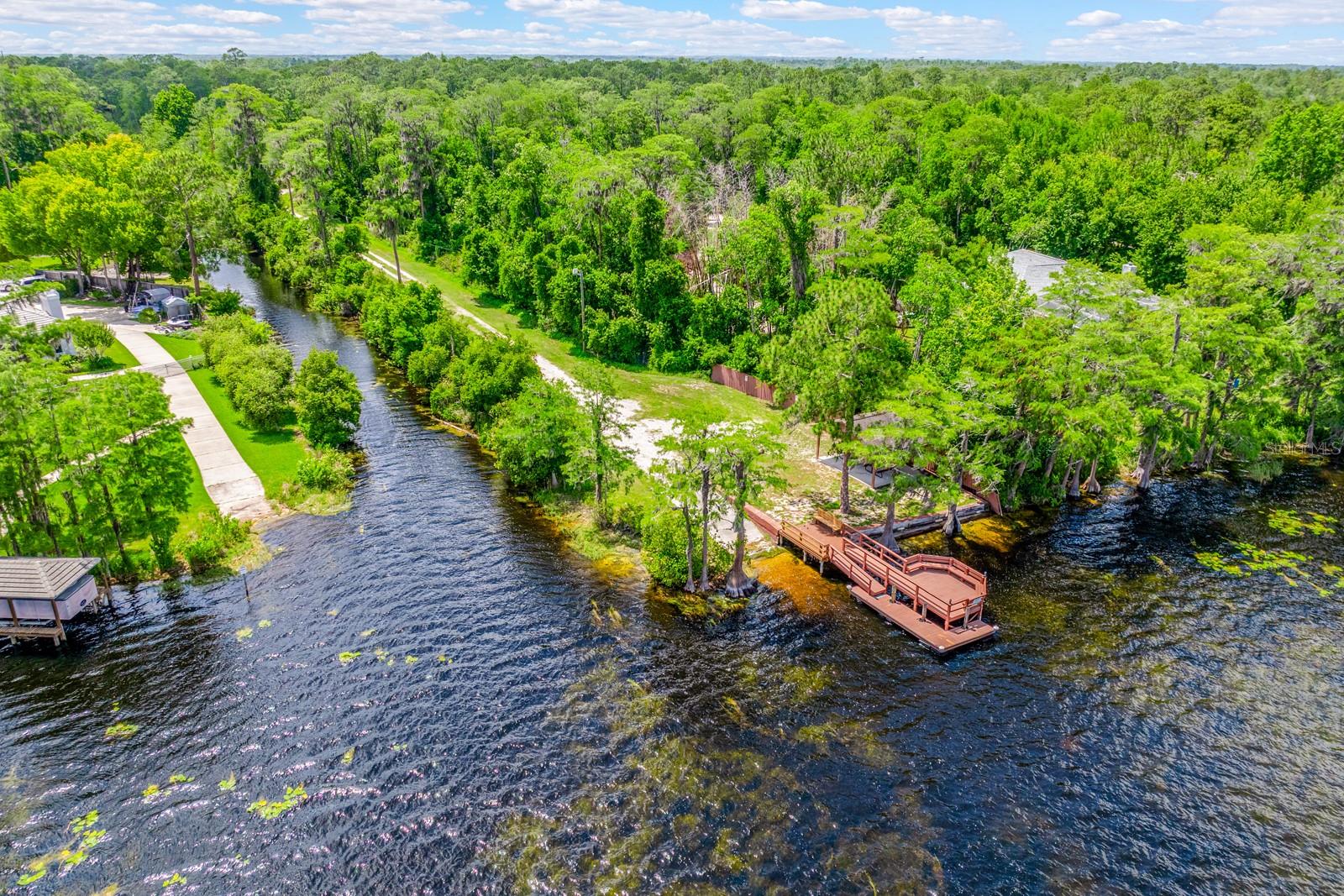 LAKE PICKET WOODS 5 ACRE DEV - Residential