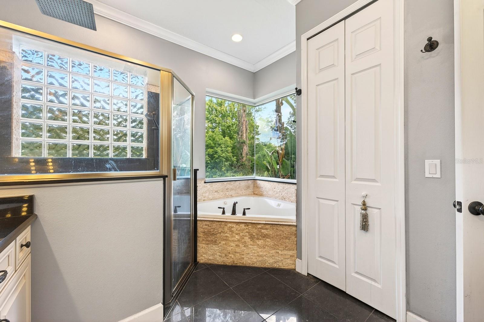 LAKE PICKET WOODS 5 ACRE DEV - Residential