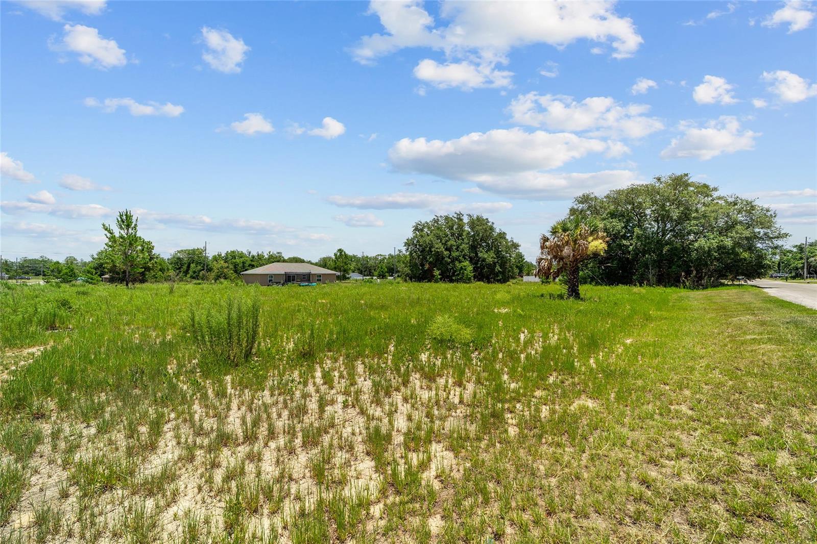 Build your dream home today, whether you're looking to build your primary residence, a seasonal retreat, or an investment property, this lot provides the perfect setting to bring your vision to life. Located in the heart of Ocklawaha, you'll enjoy being surrounded by Florida's natural beauty while remaining close to some of the area's most popular outdoor destinations. Spend your days exploring Lake Weir, Silver Springs, and the Ocklawaha River, or take advantage of the miles of hiking, ATV, and horseback riding trails throughout the Ocala National Forest. Boating enthusiasts will appreciate the nearby Moss Bluff public boat ramp for easy access to the water. Conveniently located just minutes from local dining favorites, grocery stores, and everyday essentials, this property offers the peaceful lifestyle you've been searching for without sacrificing convenience. Plus, with Ocala and The Villages both within a short drive, you'll have easy access to additional shopping, dining, entertainment, and healthcare options. Don't miss this chance to secure your piece of Central Florida and start building the lifestyle you've been dreaming of.