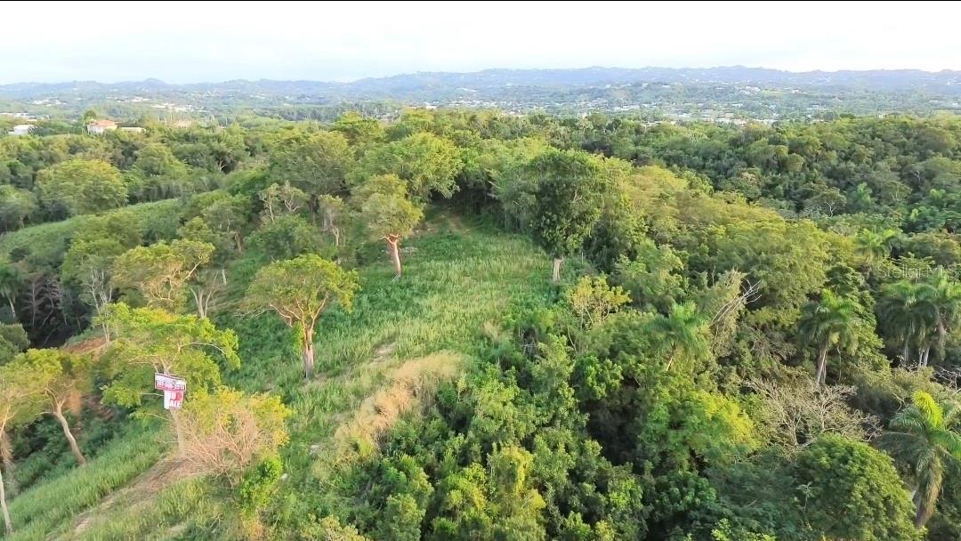 11 ACRES OF LAND, OCEAN VIEW - Land