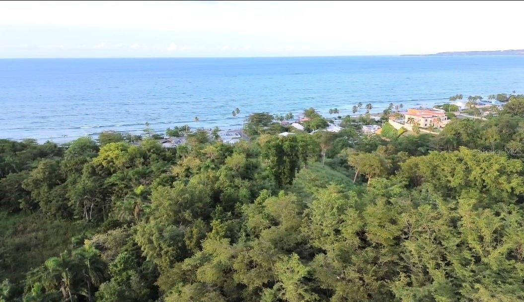11 ACRES OF LAND, OCEAN VIEW - Land