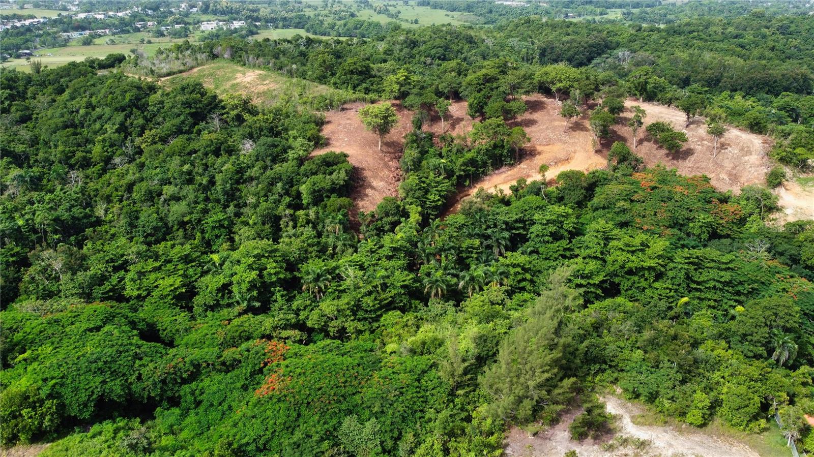11 ACRES OF LAND, OCEAN VIEW - Land