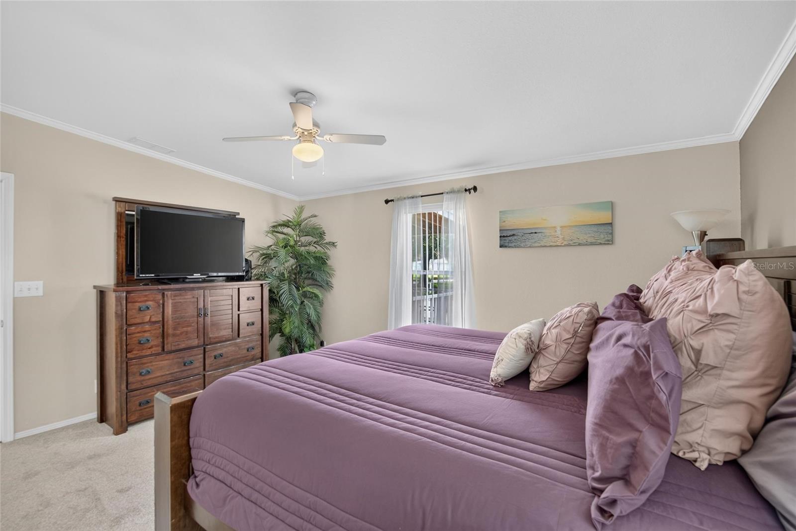 ZEPHYRHILLS COLONY COMPANY LANDS - Residential