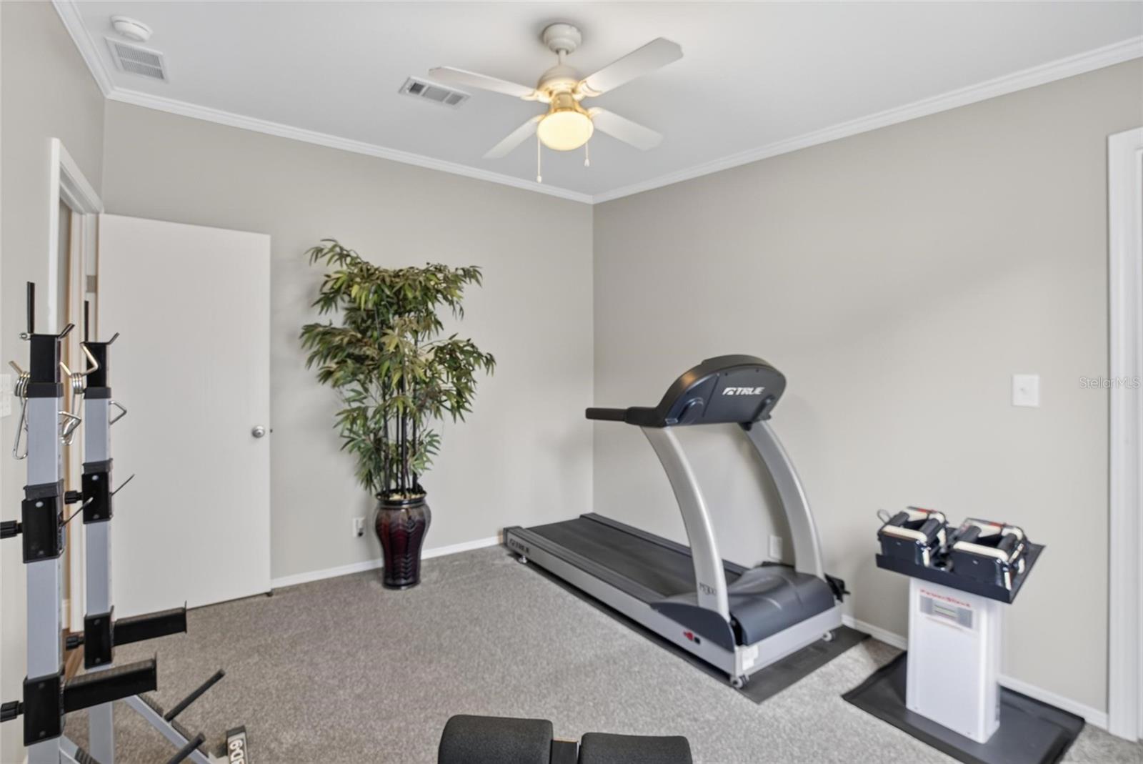 ZEPHYRHILLS COLONY COMPANY LANDS - Residential