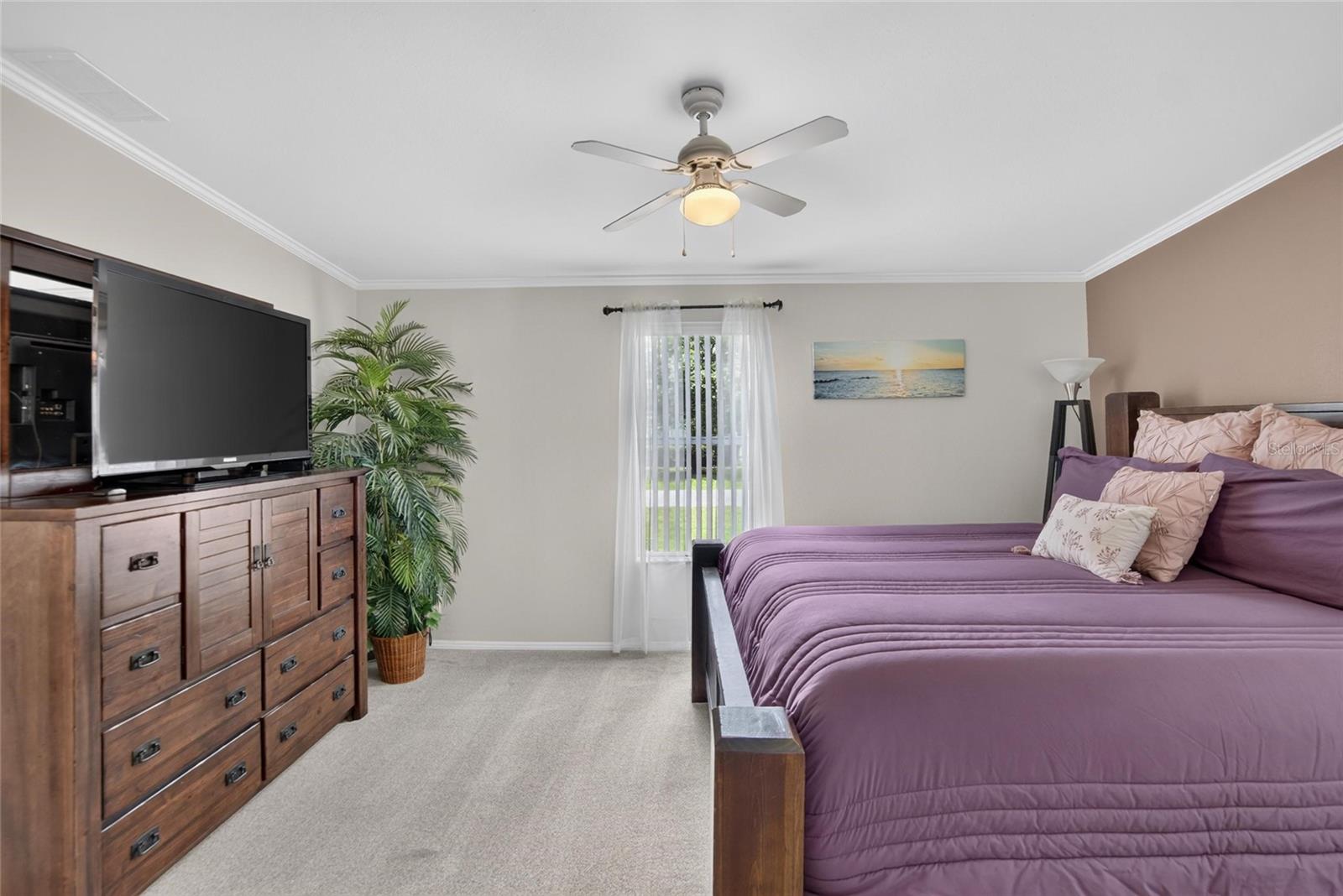 ZEPHYRHILLS COLONY COMPANY LANDS - Residential