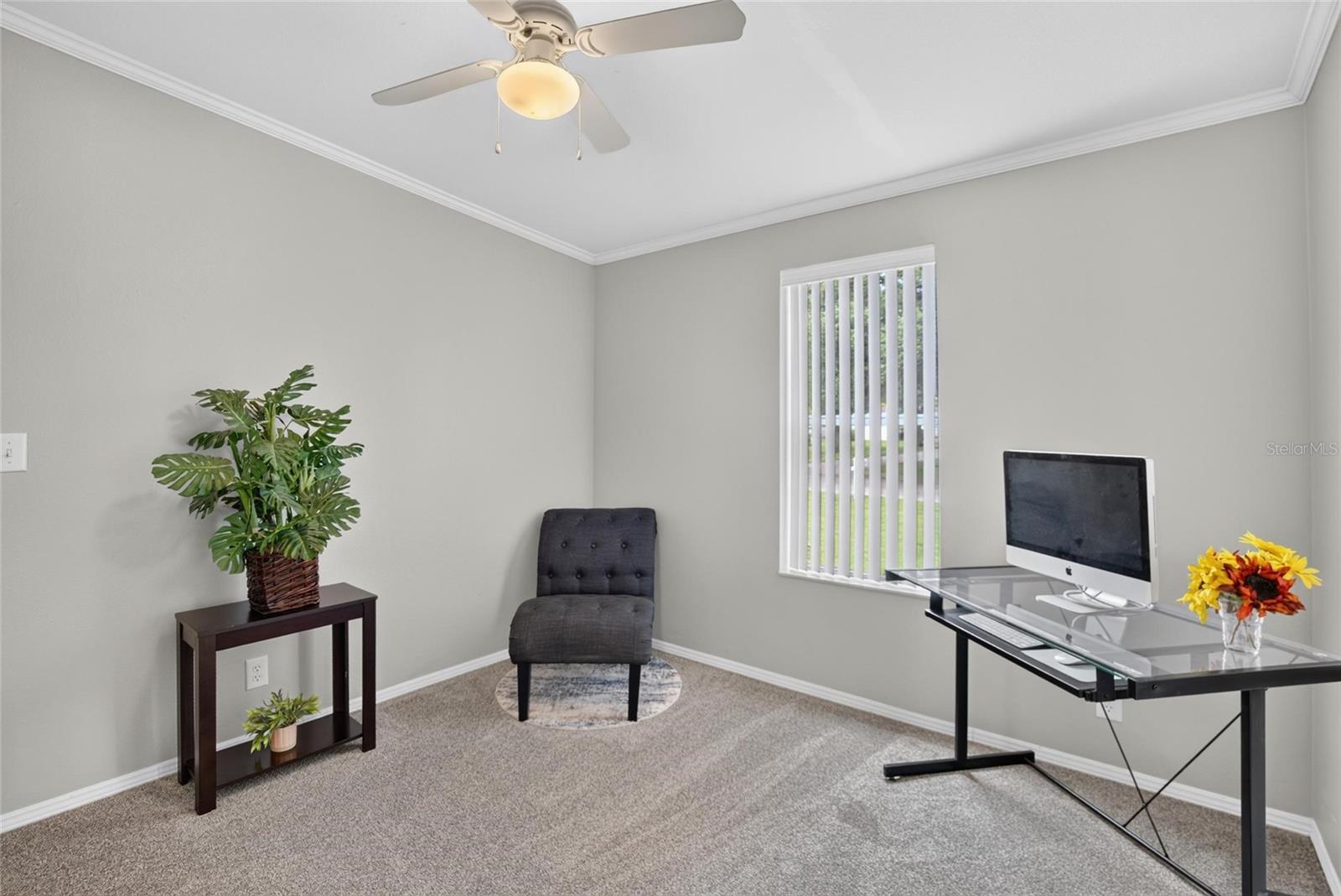 ZEPHYRHILLS COLONY COMPANY LANDS - Residential