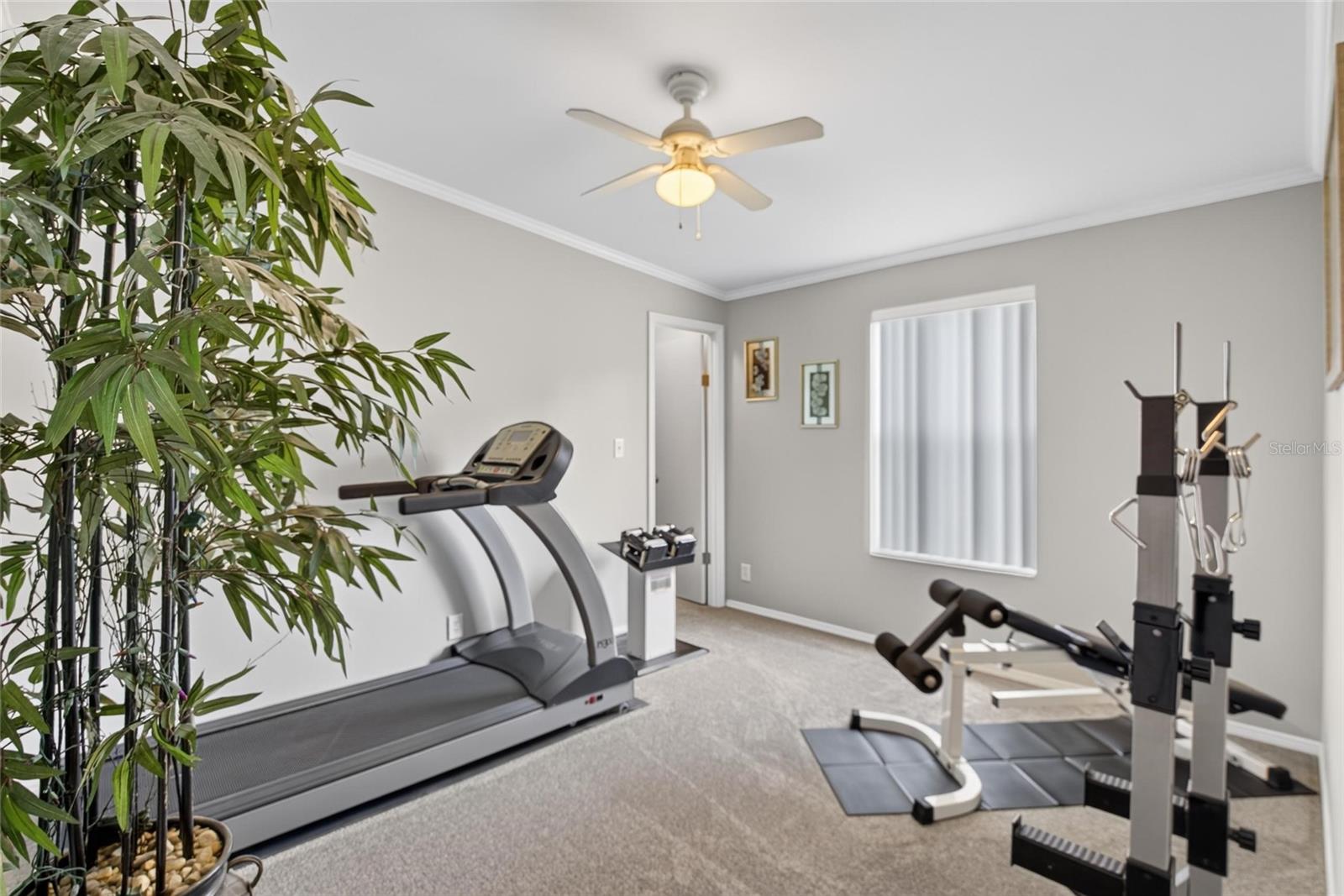 ZEPHYRHILLS COLONY COMPANY LANDS - Residential