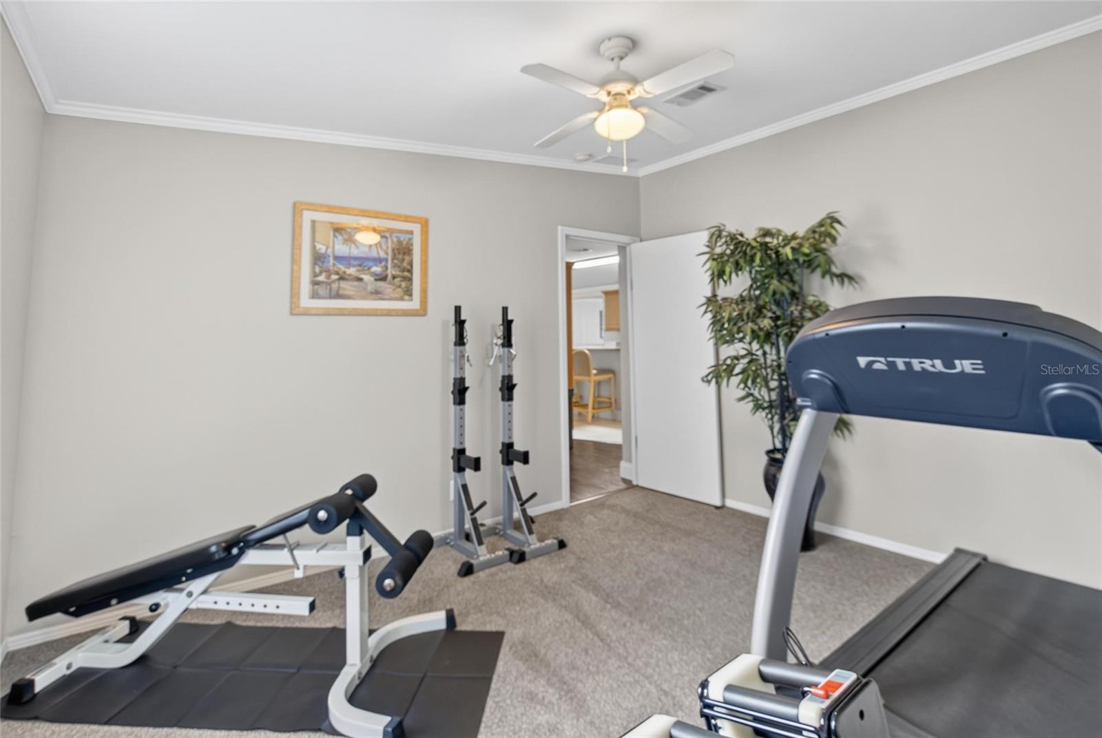 ZEPHYRHILLS COLONY COMPANY LANDS - Residential