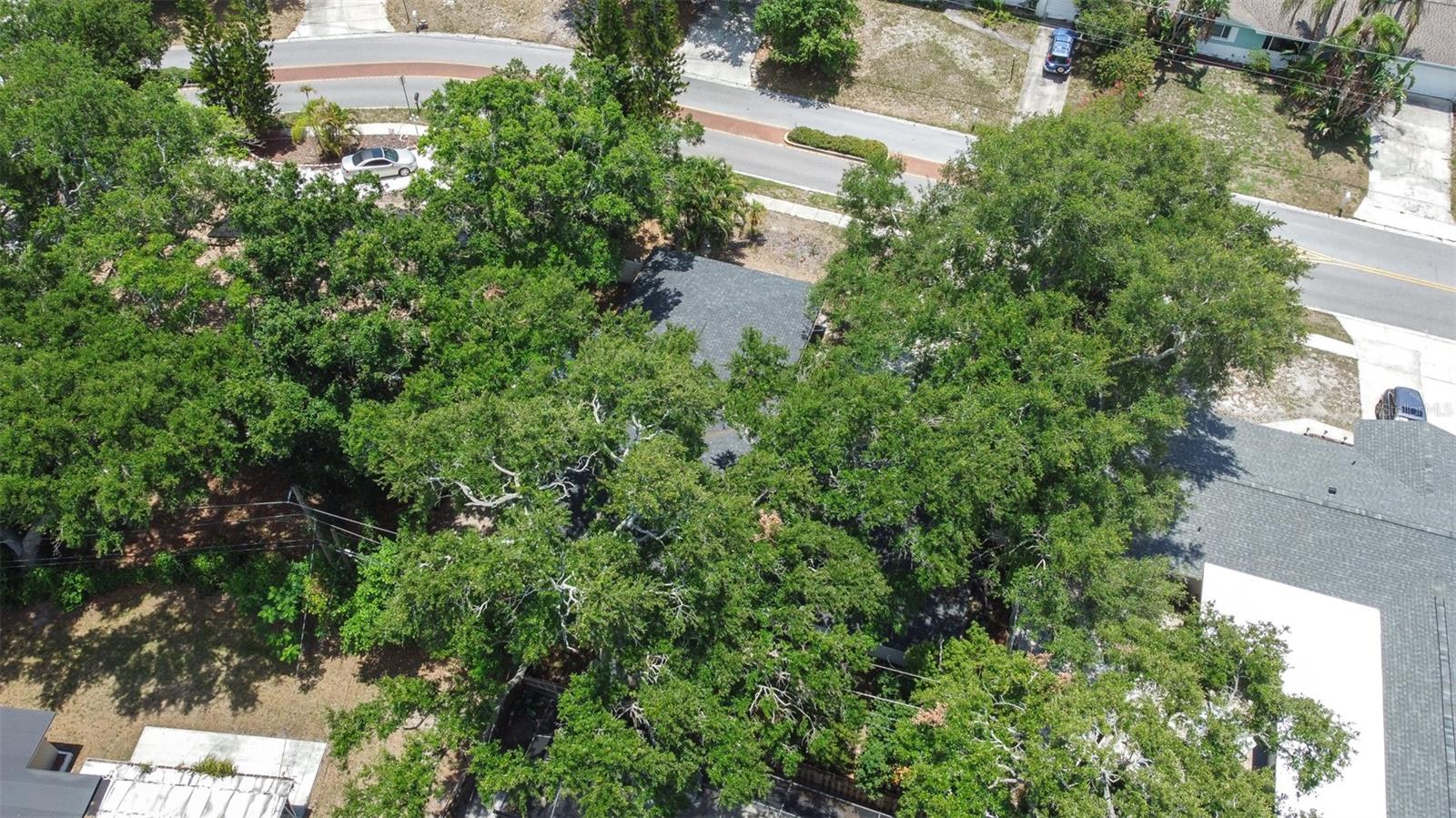 HIGHLAND ESTATES OF CLEARWATER - Residential