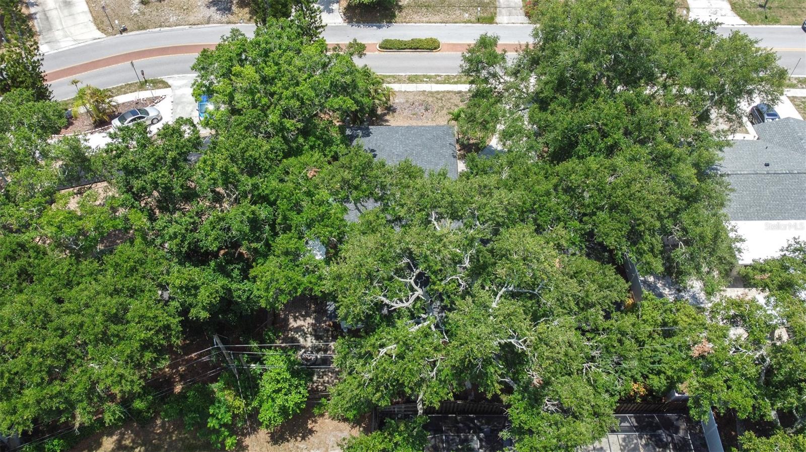 HIGHLAND ESTATES OF CLEARWATER - Residential