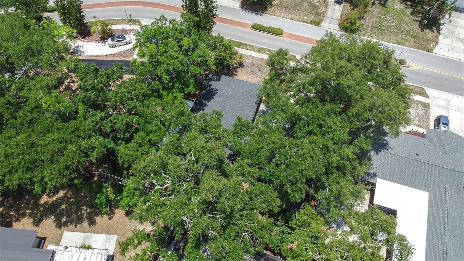 HIGHLAND ESTATES OF CLEARWATER - Residential