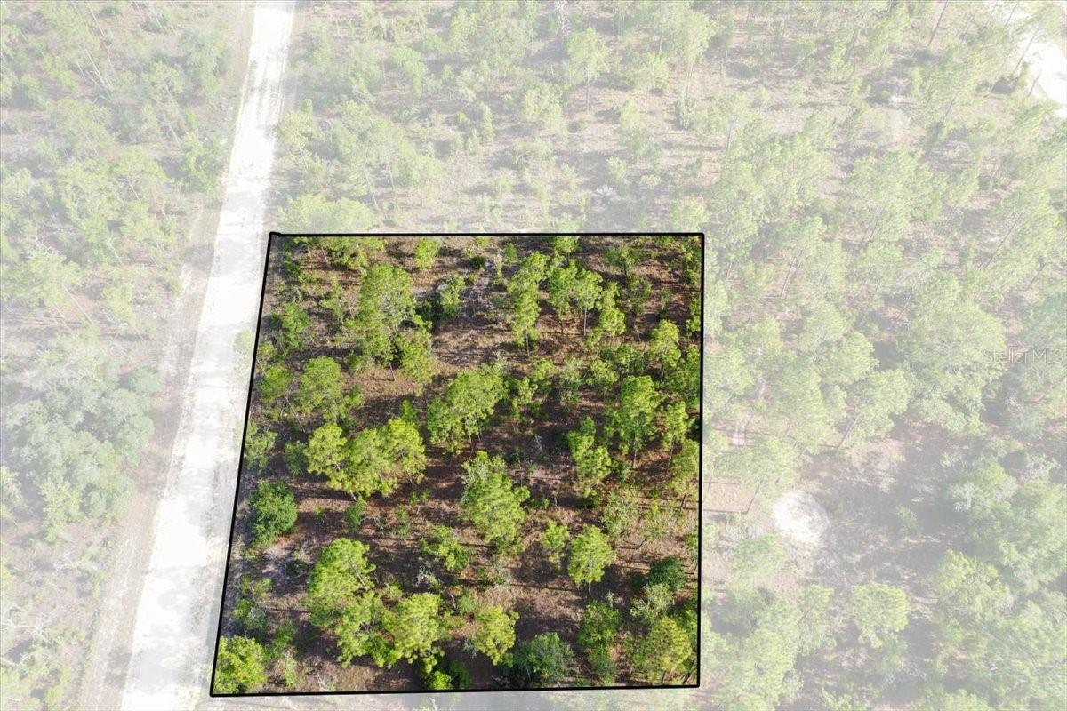 Rare opportunity to own up to 10 acres in Williston Highlands! This unique offering includes ten adjoining 1-acre lots available for purchase together or individually, giving you the flexibility to build your dream home, create a private retreat, or invest in Florida land. Enjoy plenty of room for your home, workshop, RV, boats, horses, and all your outdoor toys in a peaceful country setting just minutes from Williston's amenities. Located in the heart of Florida's Horse Country, the property is also a short drive to the World Equestrian Center in Ocala, as well as popular attractions like Devil's Den and Blue Grotto springs. Whether you're looking to build now or invest for the future, this property offers privacy, natural beauty, and the freedom to create the lifestyle you've been looking for.