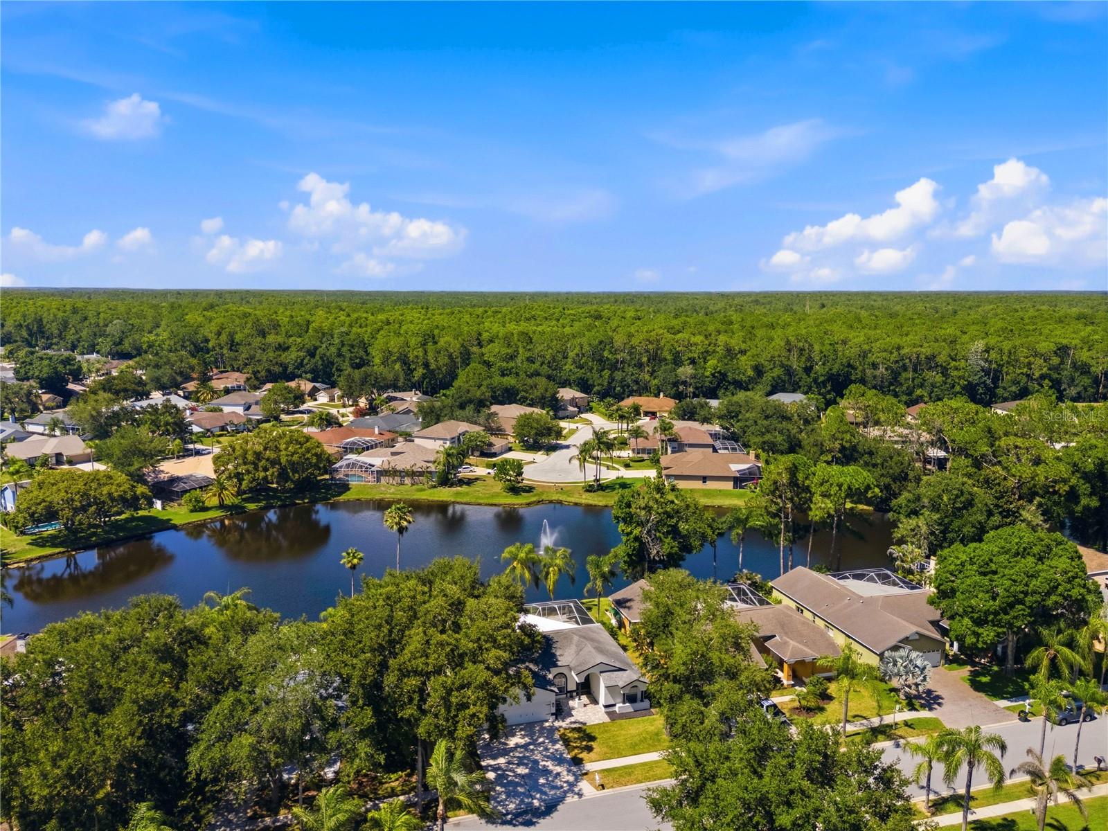 WINDEMERE - Residential