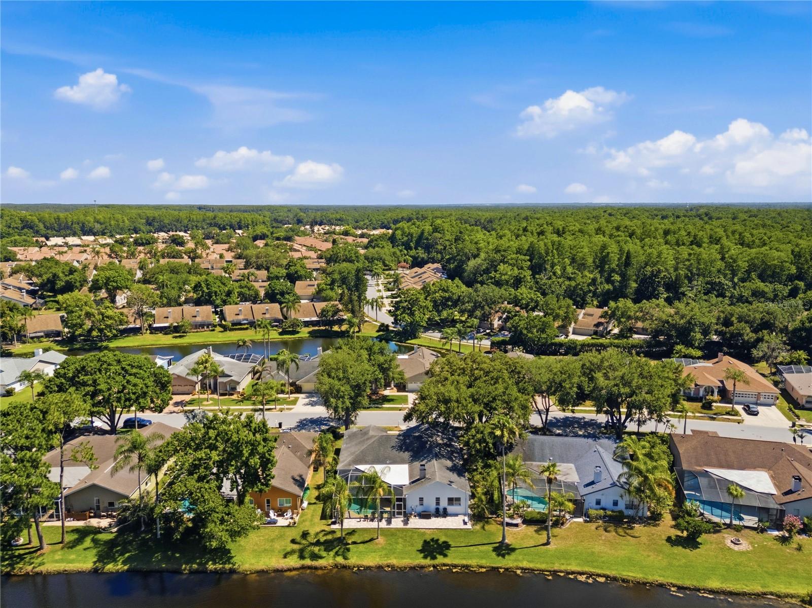 WINDEMERE - Residential