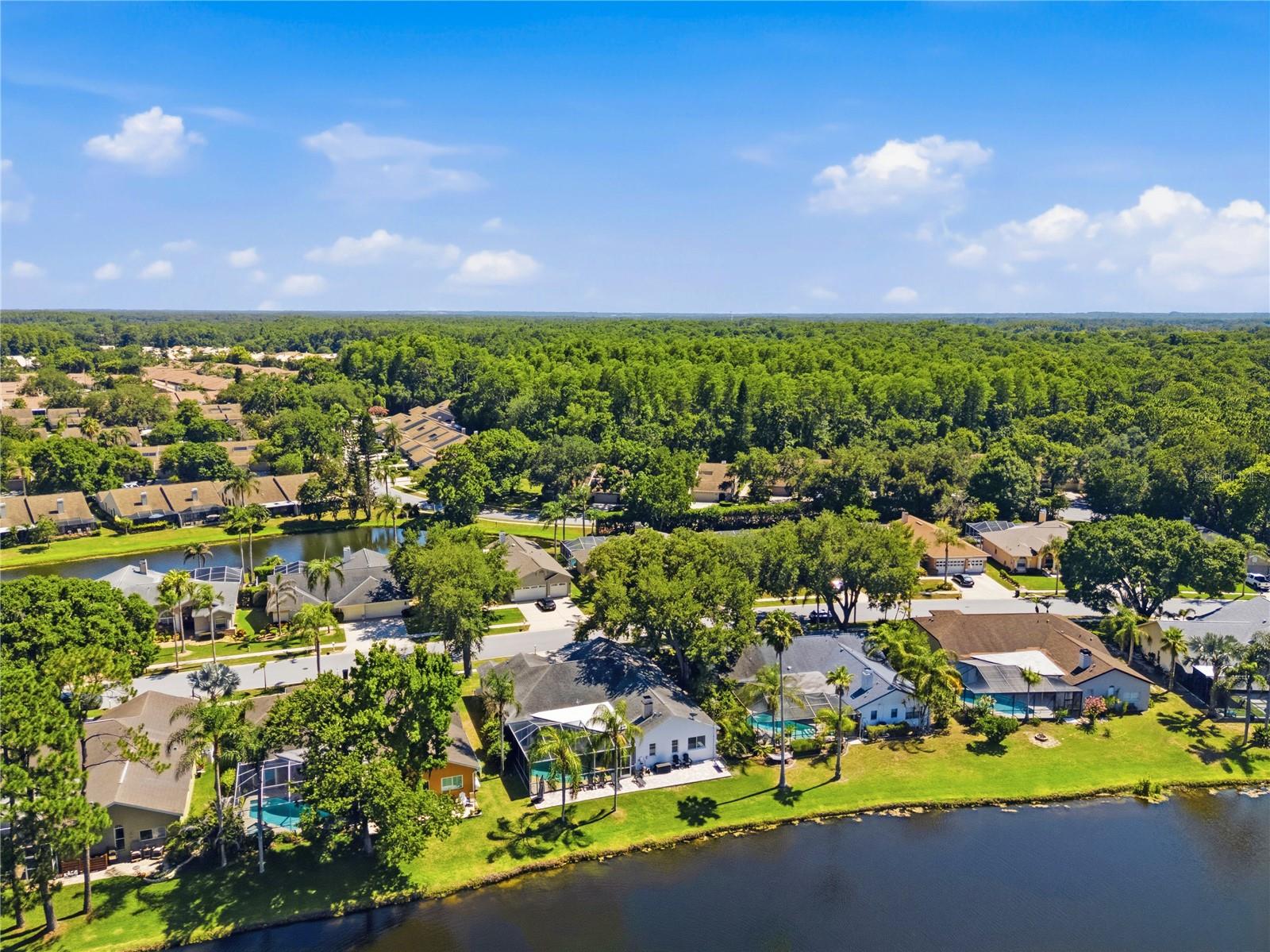 WINDEMERE - Residential