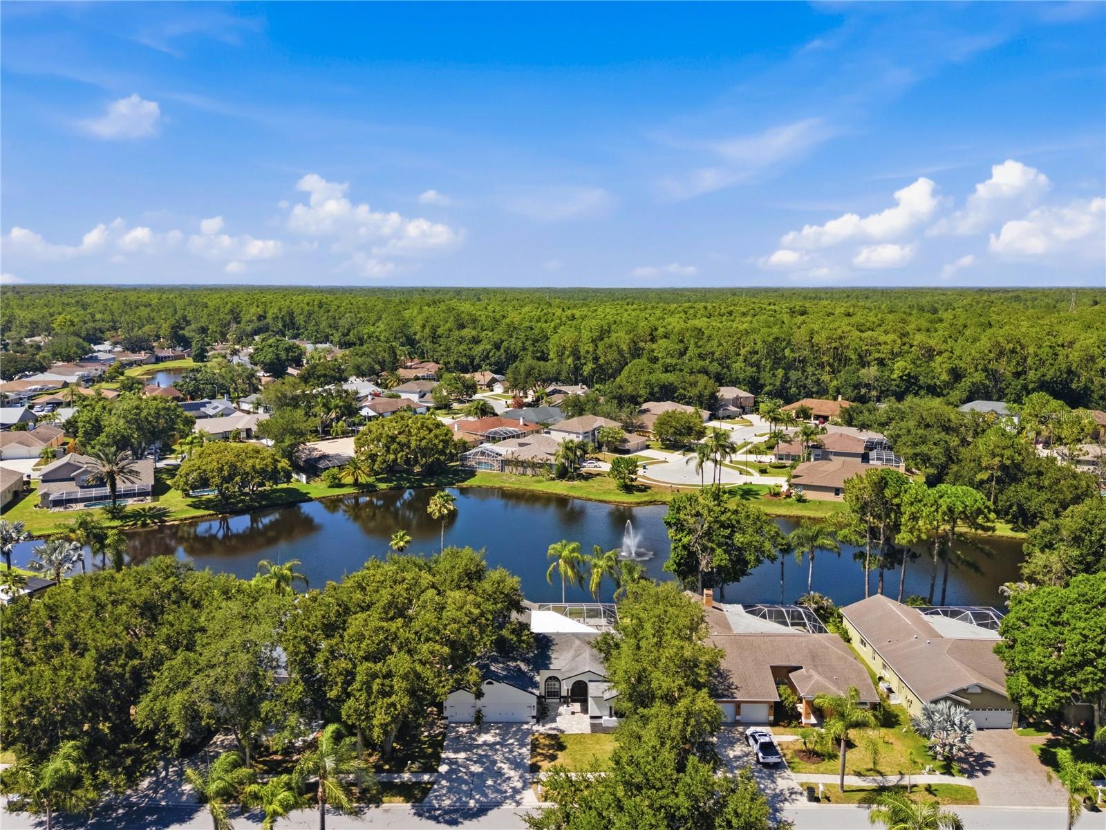 WINDEMERE - Residential