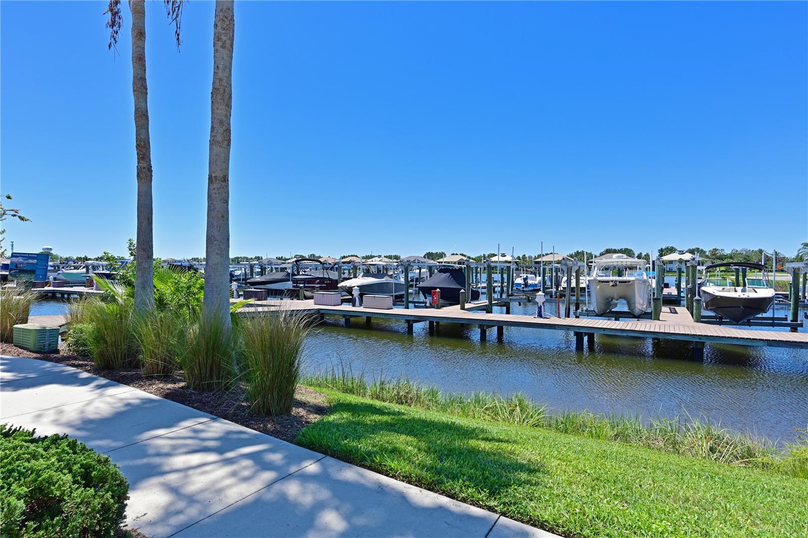 TIDEWATER PRESERVE - Residential