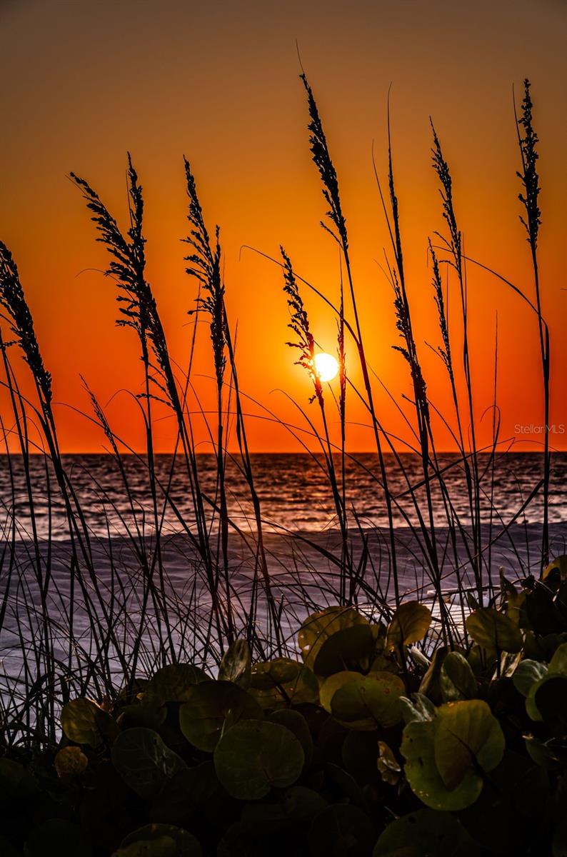 MARINERS POINTE OF INDIAN SHORES CONDO - Residential