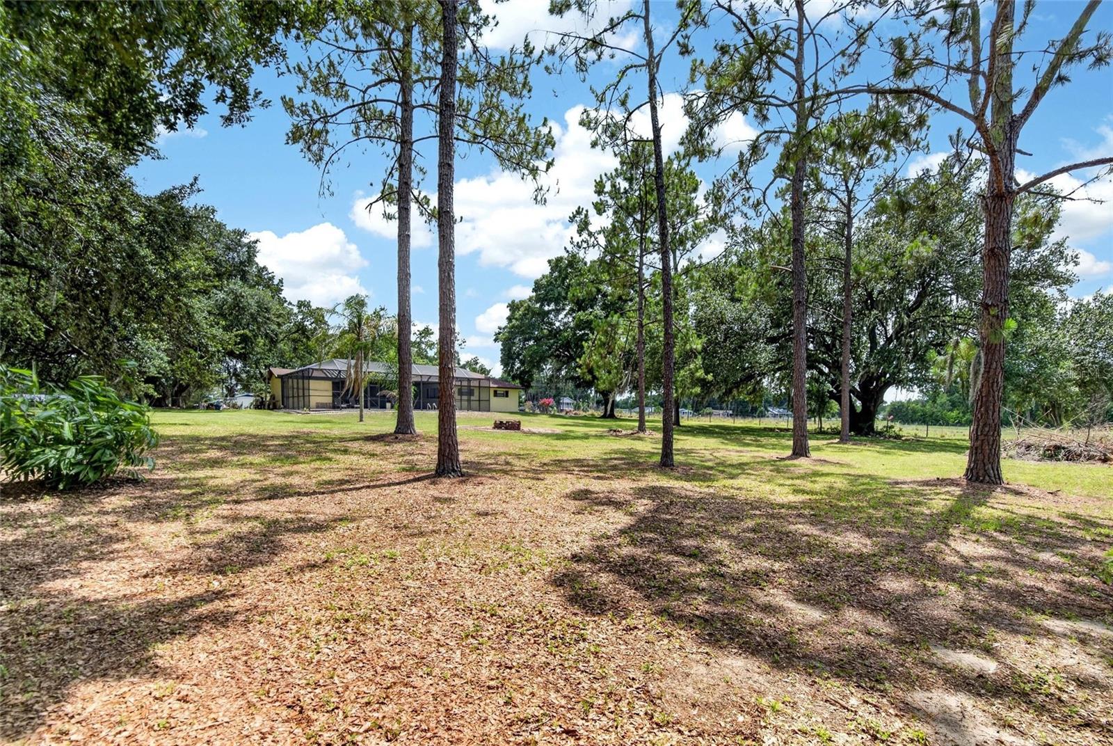 UNPLATTED - Residential