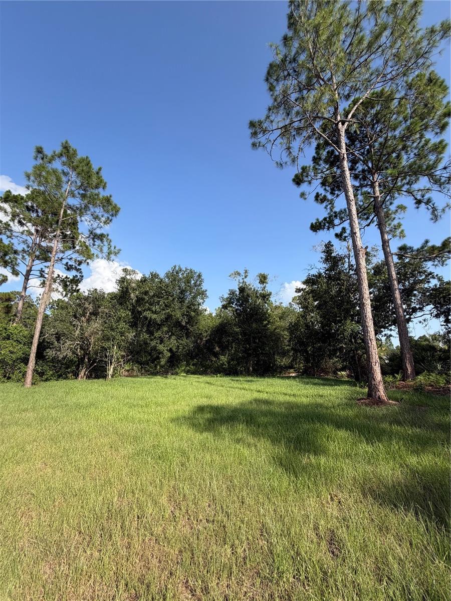 WALK IN WATER LAKE ESTATES - Residential