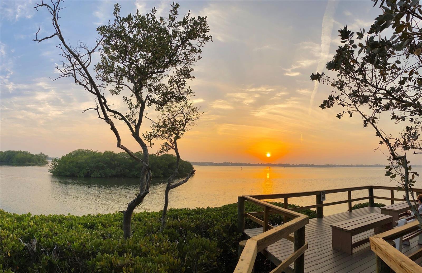 PELICAN COVE XIV - Residential