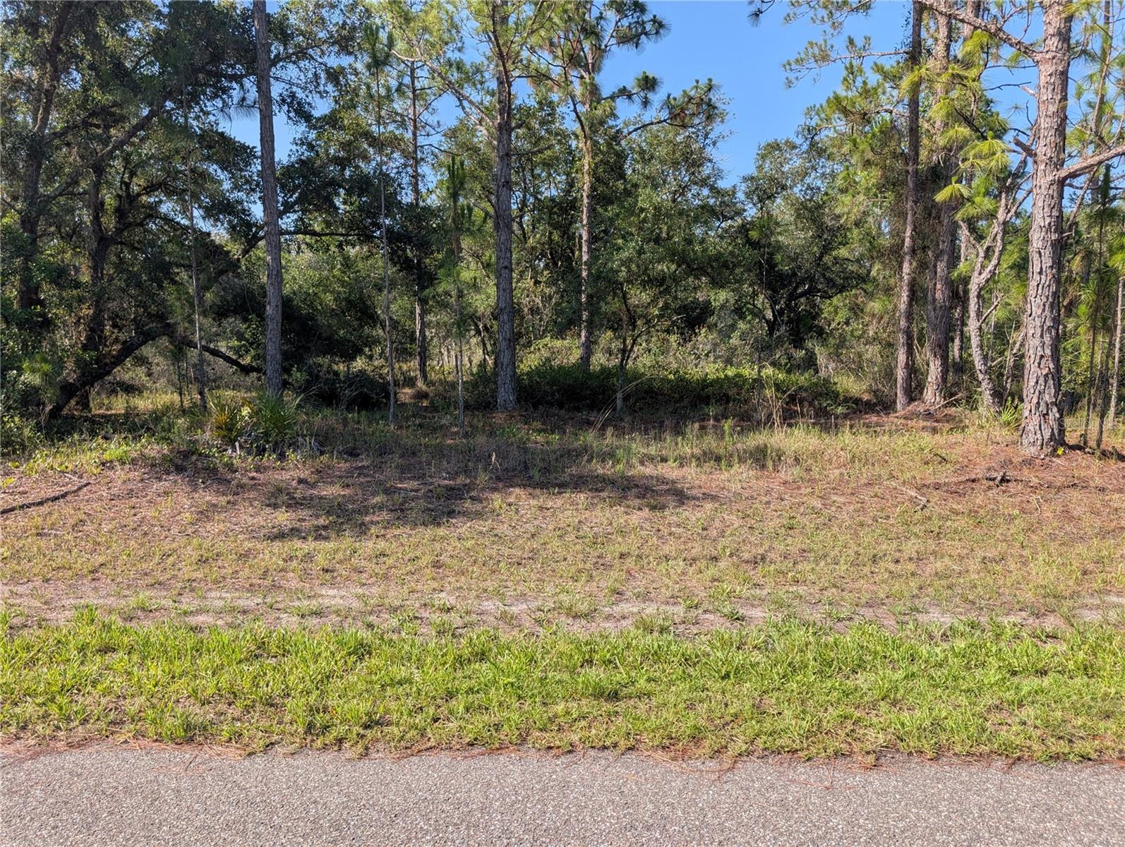 INDIAN LAKE ESTATES - Land