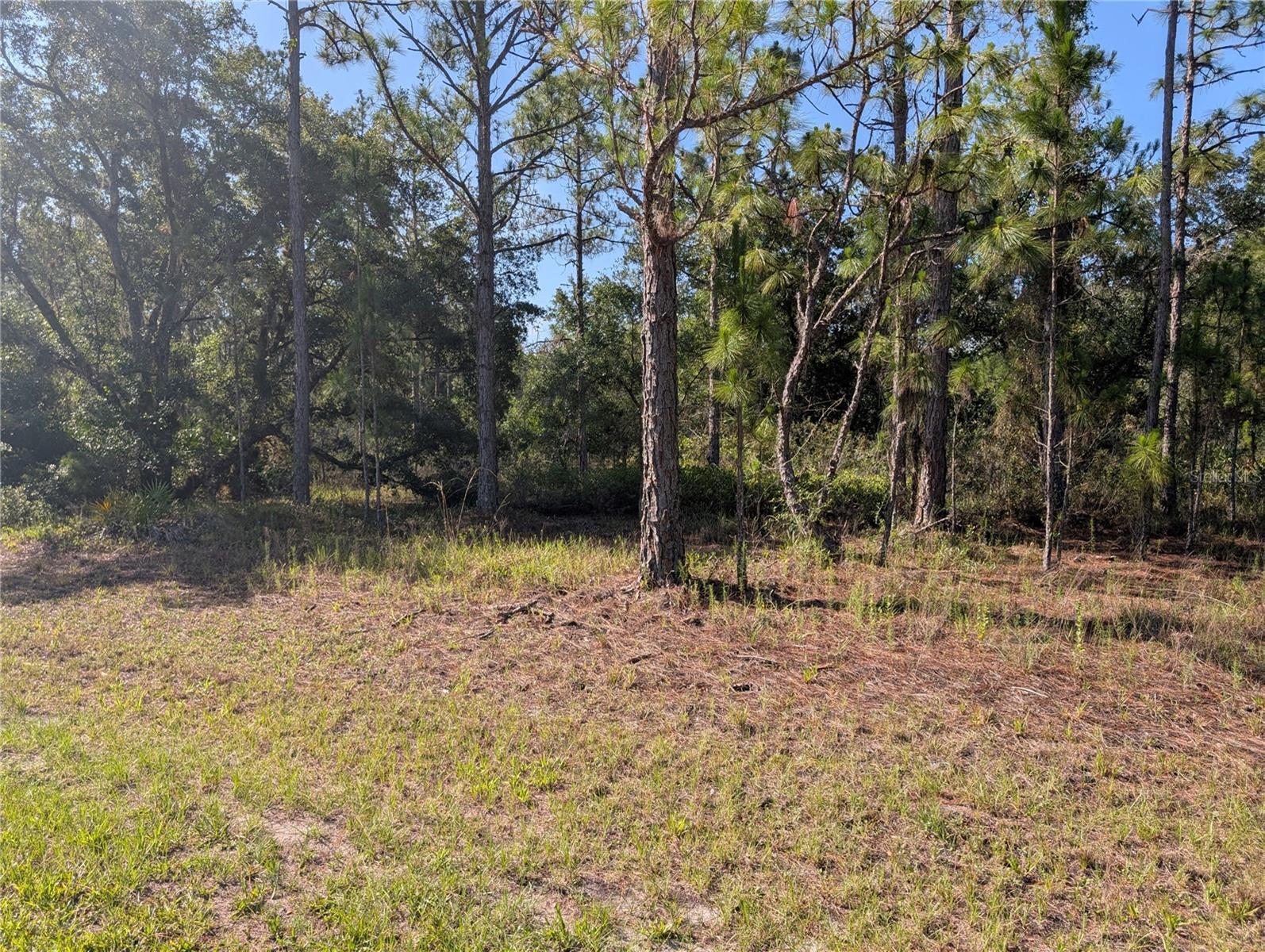 INDIAN LAKE ESTATES - Land