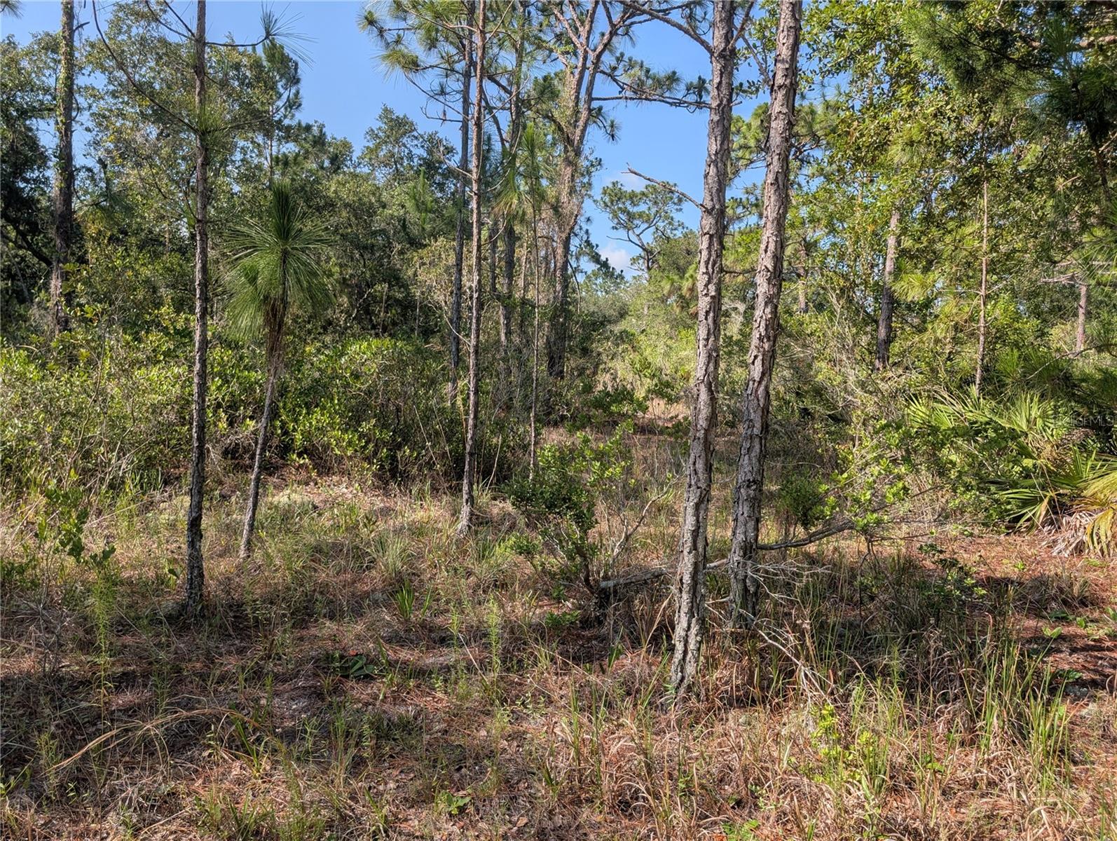 INDIAN LAKE ESTATES - Land