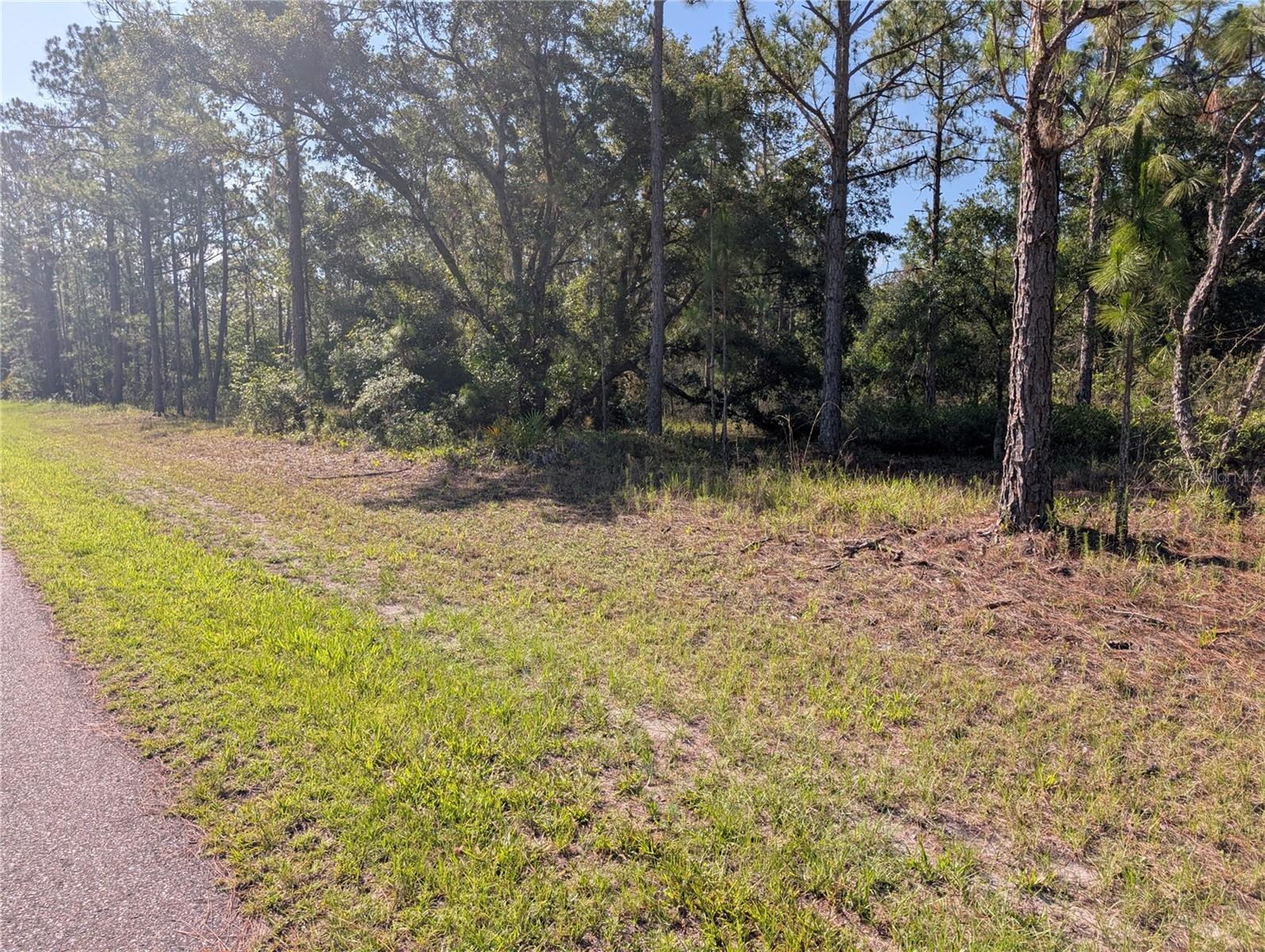 INDIAN LAKE ESTATES - Land