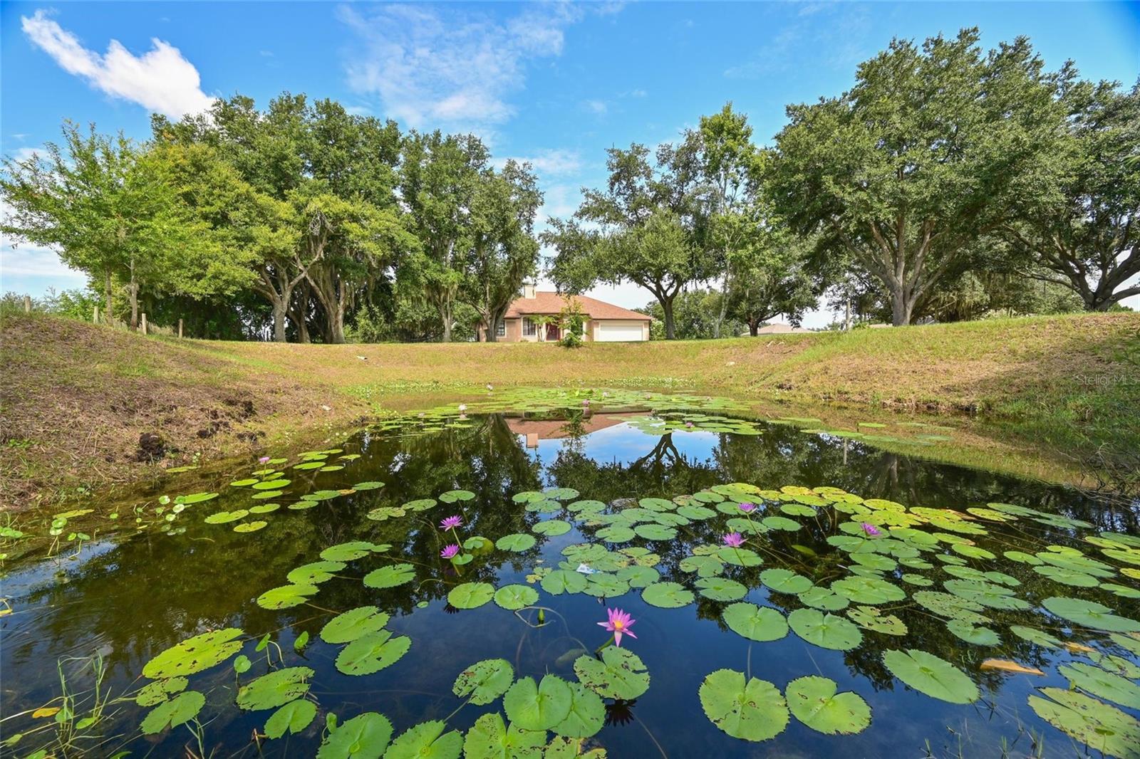 ACREAGE - Residential