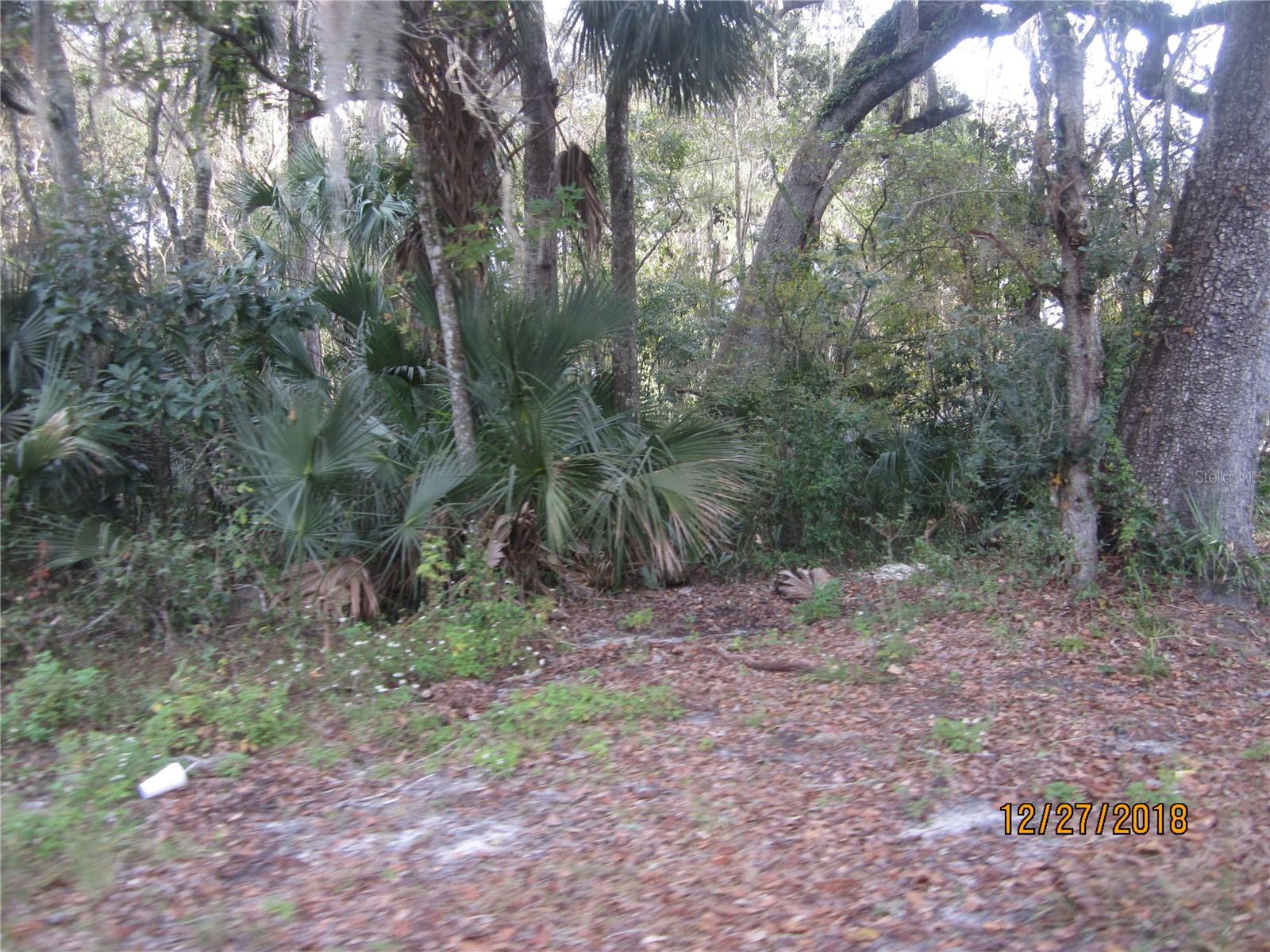 PANACOOCHEE RETREATS - Land