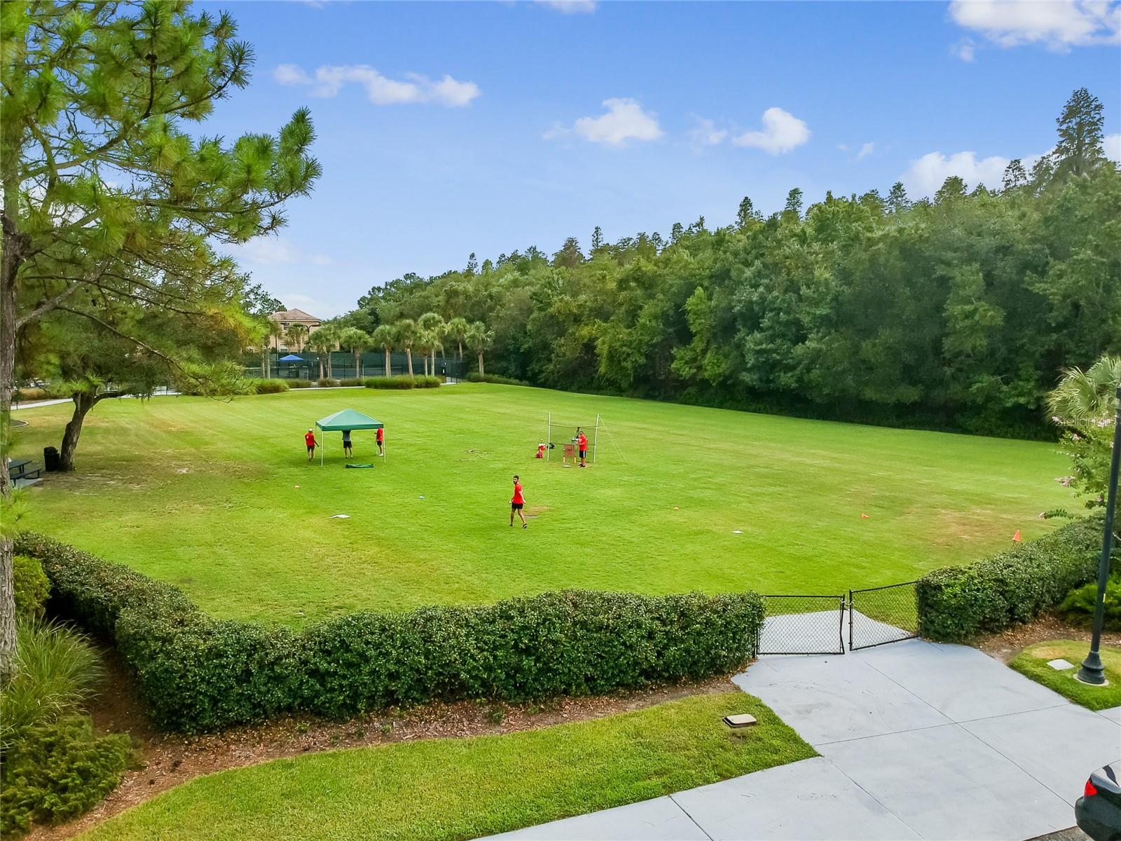 GRAND HAMPTON PHASE 1C-1/2A-1 - Residential