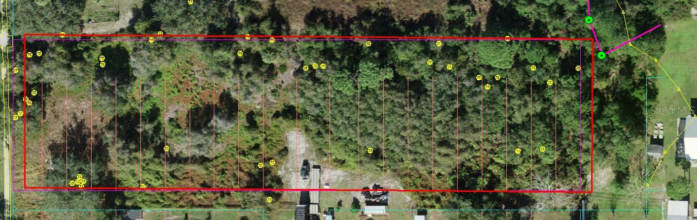 NARCOOSSEE NEW MAP OF - Land
