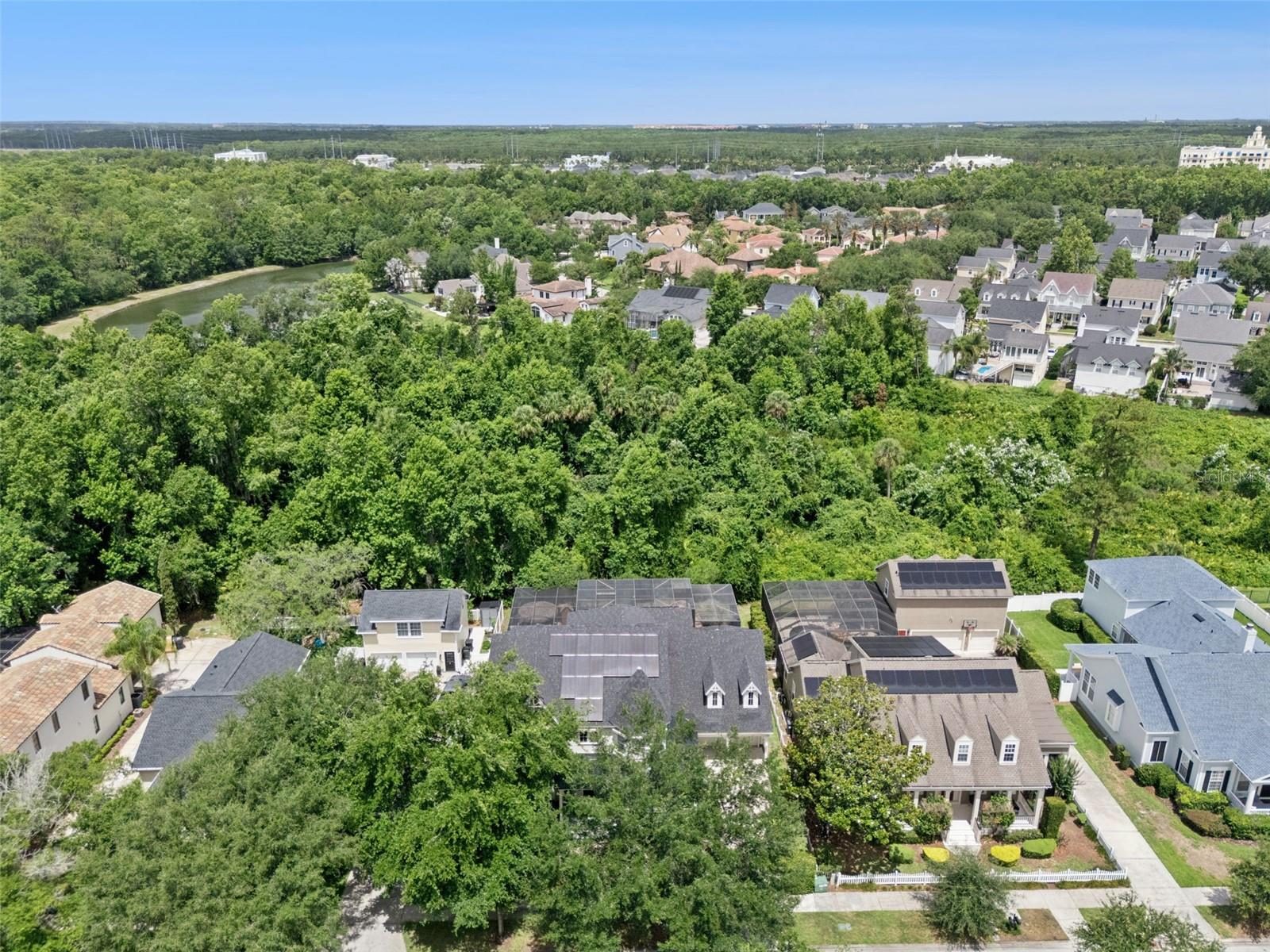 CELEBRATION SOUTH VILLAGE - Residential