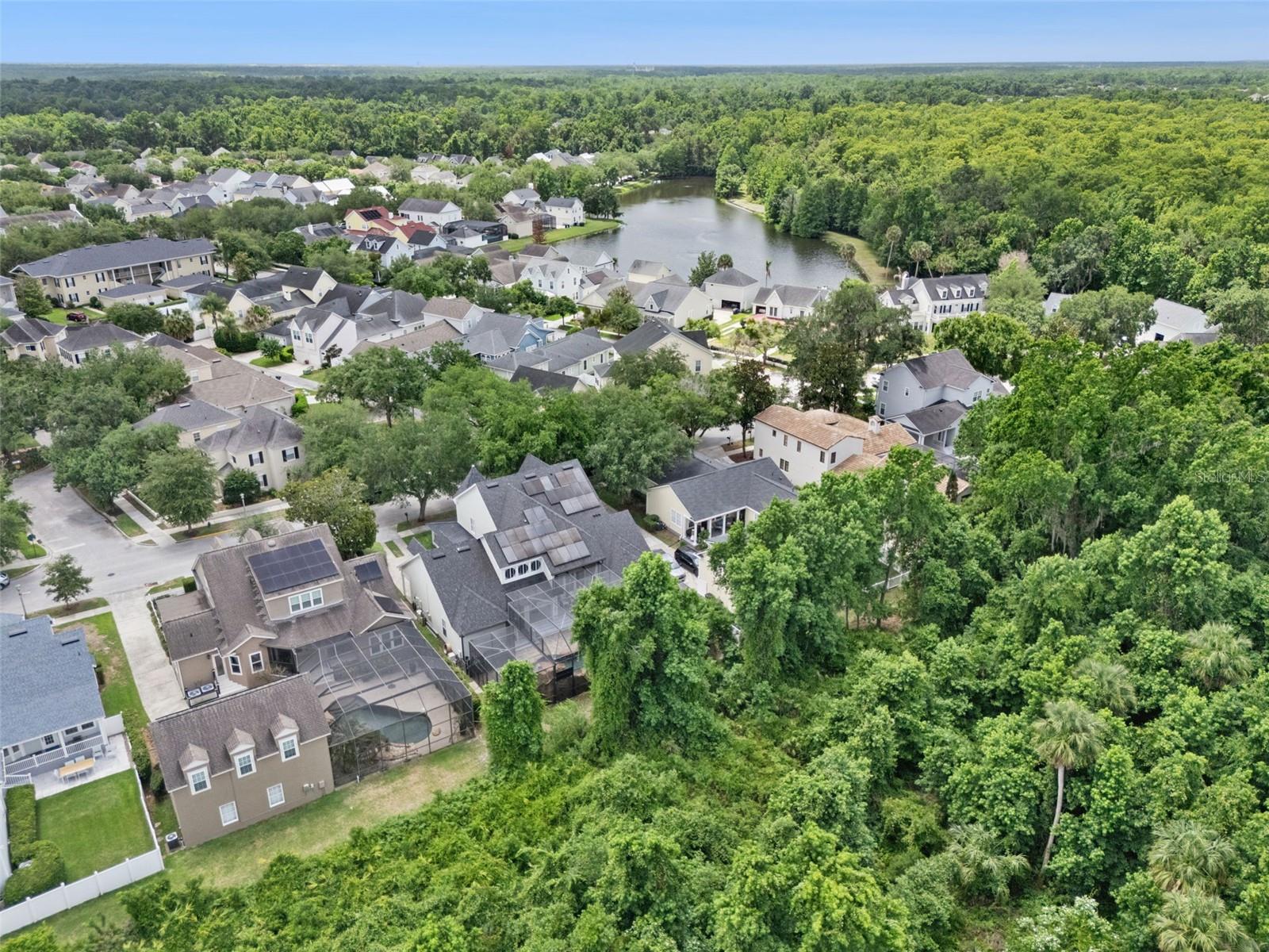 CELEBRATION SOUTH VILLAGE - Residential