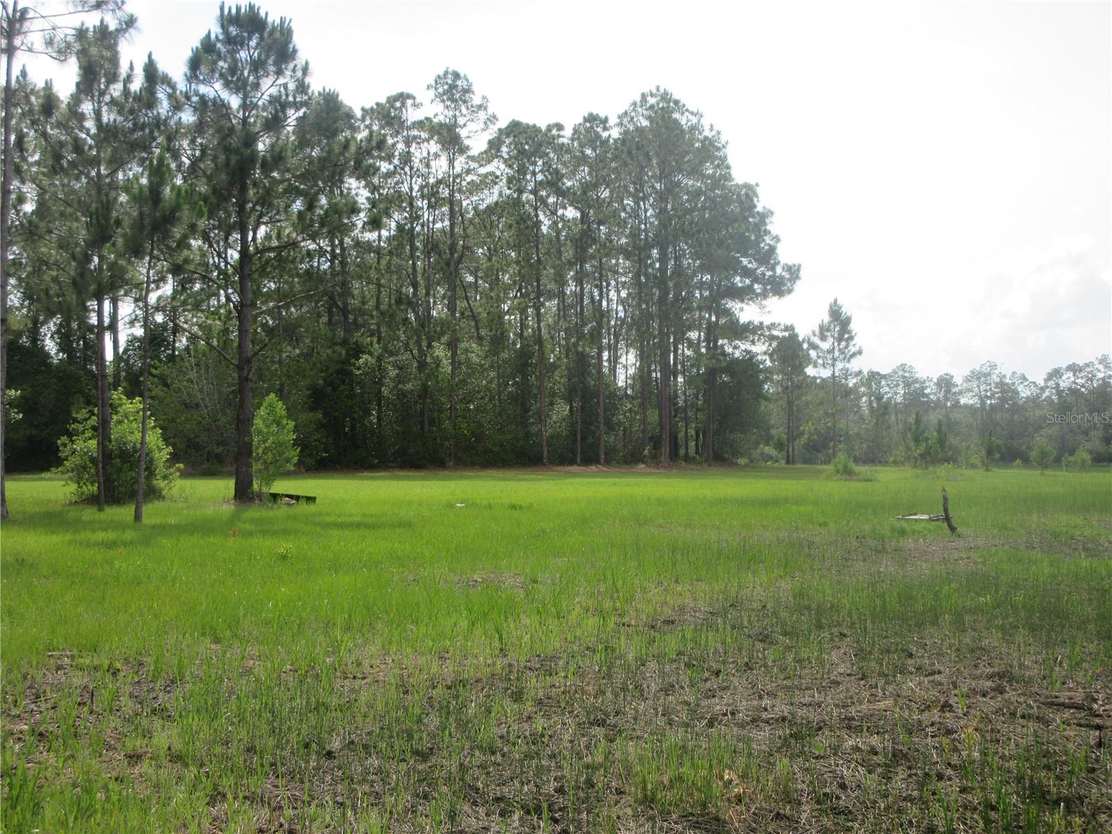 LAND-O-LAKES - Land