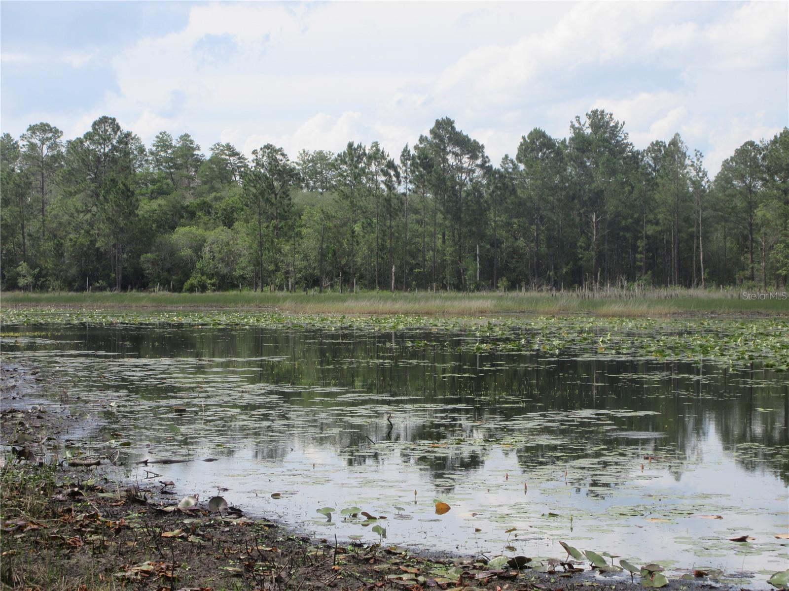 LAND-O-LAKES - Land