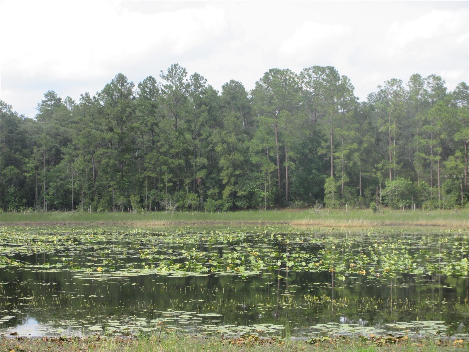 LAND-O-LAKES - Land