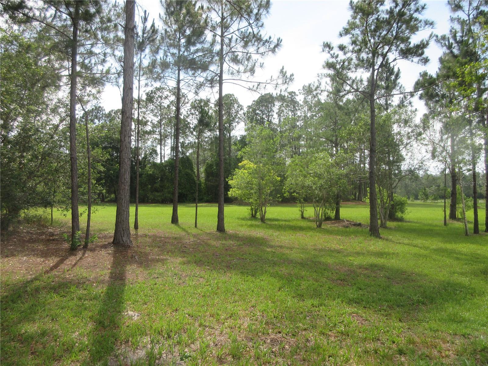 THE RAREST OF ALL PROPERTIES! This owner financed property is located in the Ocala National Forest and includes two gorgeous lake lots plus approximately 6.30 acres of fabulous TOBE Lake with a breathtaking view of the Forest. 6.80 acres total which includes the 6.30 acre TOBE Lake lot being (tract C) and the 2 lake front lots. The property has approximately 800 feet bordering the Ocala National Forest. The entire Tobe Lake is approximately 42 acres in size. NO HOA and the 6.3 acre portion of Tobe Lake is TAX FREE! The lots are zoned R-4 which permits either a mobile home, stick built or block home. Excellent fishing, jet skiing, boating, kayaking and hunting! Lot 12 is 70' x 122' being .20 acre in size. Lot 13 is 78' x 137' being .25 acre in size. This is a tremendous porperty at a great price of just $138,000 cash or seller will accept half down and owner will finance the balance at 8% interest for 15 years at $659.41 per month, or do it your way and offer your own terms and the seller will consider it. This property is located in the Ocala National Forest which affords you almost a ½ million acres of Forest to roam, 600 lakes, 2 rivers, Juniper Springs, Silver Glen Springs, Salt Springs, Swimming, Skiing, Big BASS Fishing, Boating, Camping, Hiking, Horse back riding and some of the best ATV riding anywhere. Daytona Beach is just 1 hour away. Let the fun begin! You need it!