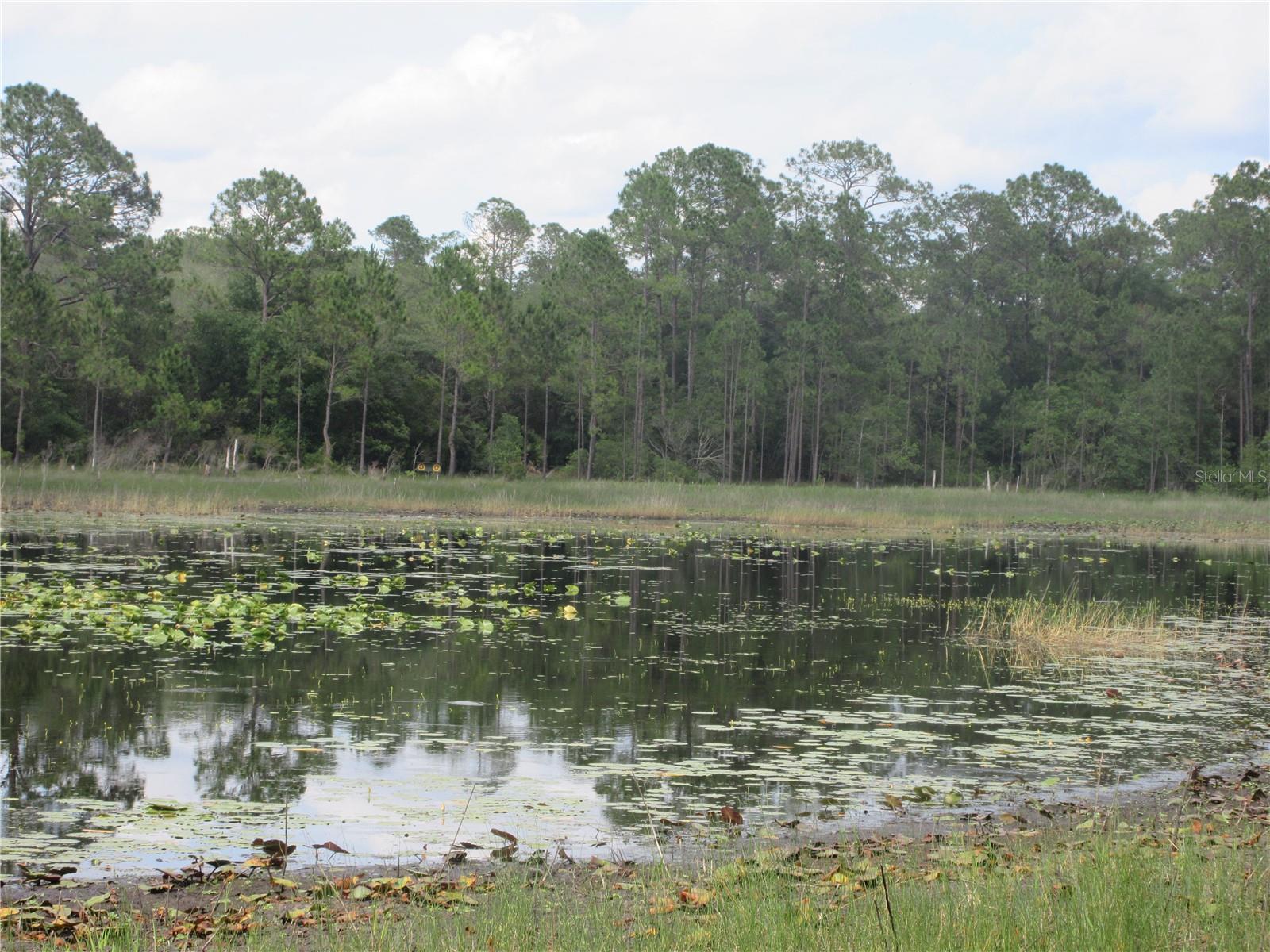 LAND-O-LAKES - Land