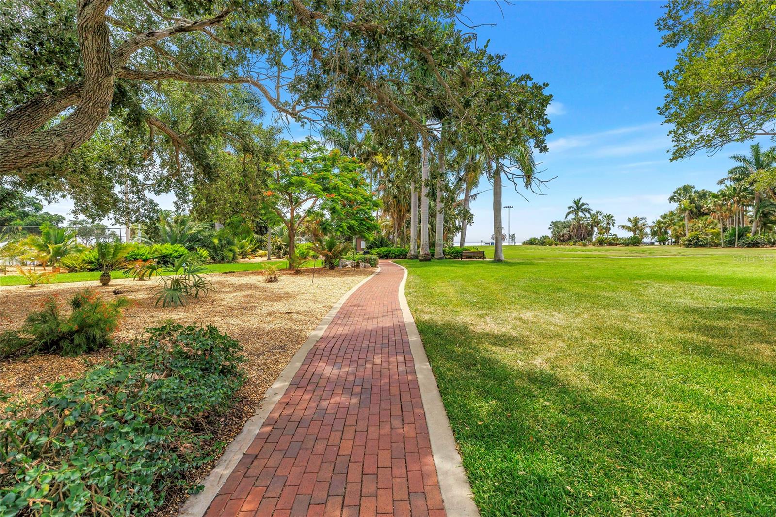 PARK SHORE CONDO - Residential