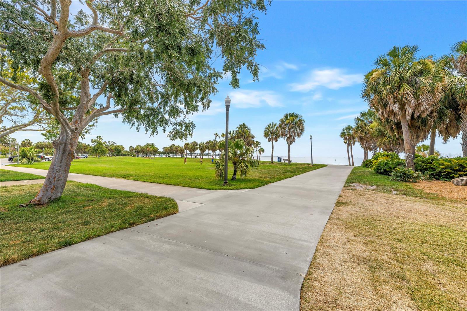 PARK SHORE CONDO - Residential