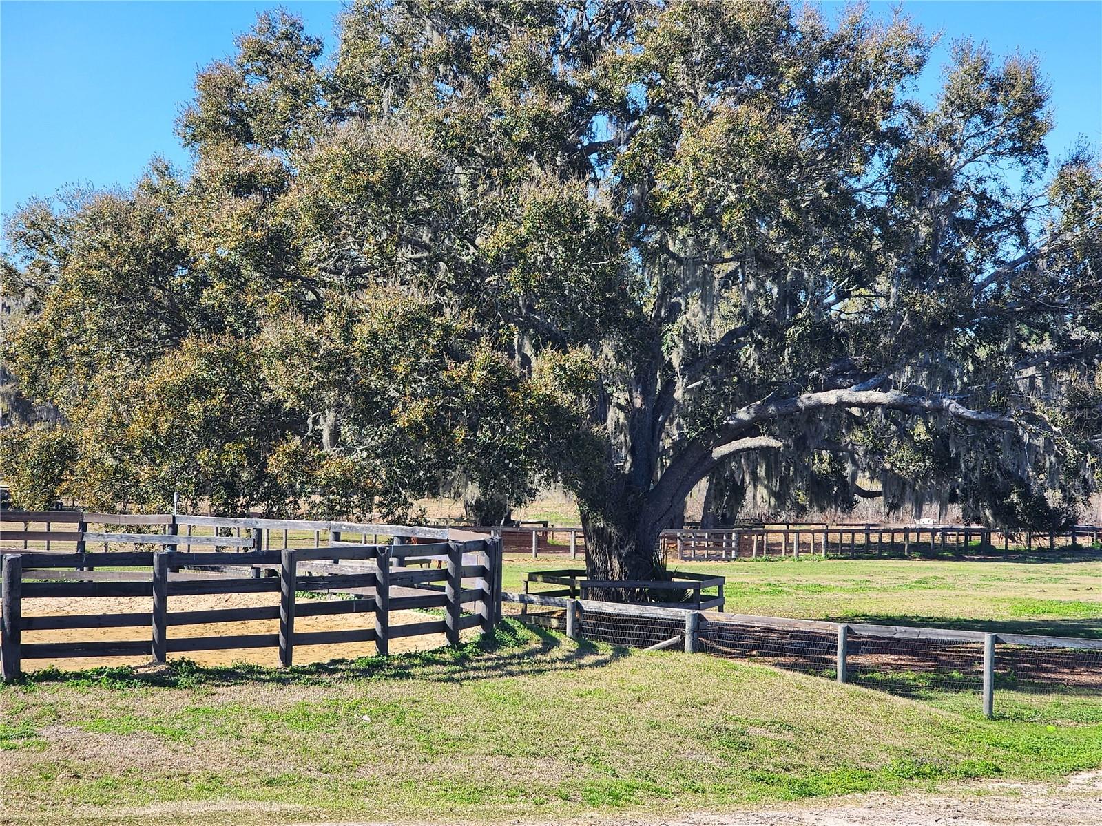 ACREAGE NON SUBDIVISION - Residential