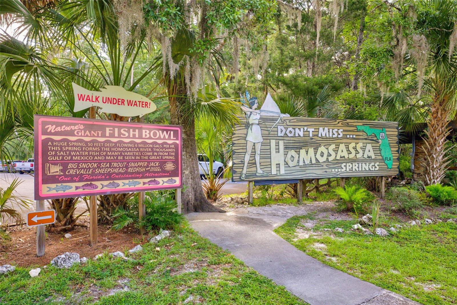 HOMOSASSA CO SUB - Residential