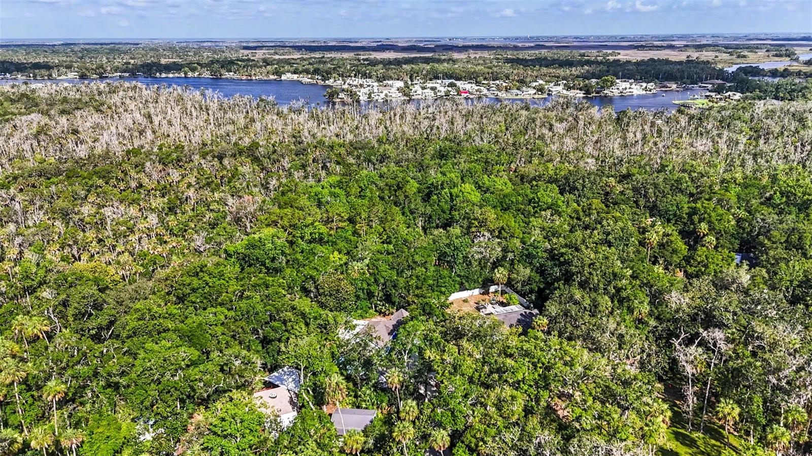HOMOSASSA CO SUB - Residential