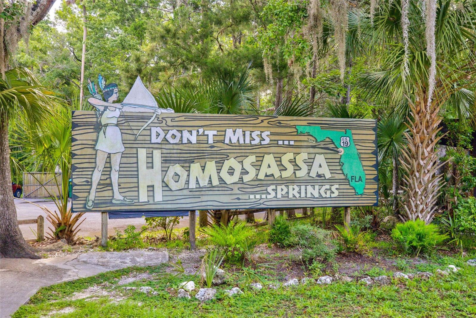HOMOSASSA CO SUB - Residential